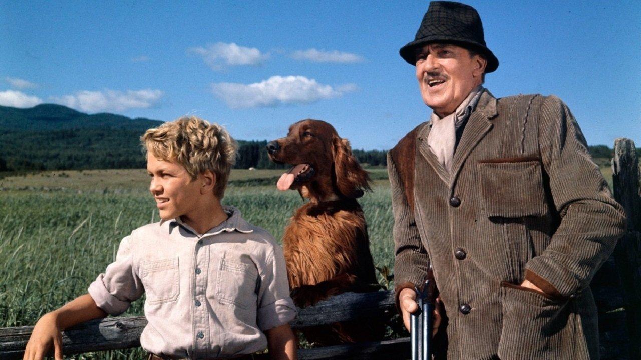 Big Red 1962 movie scene