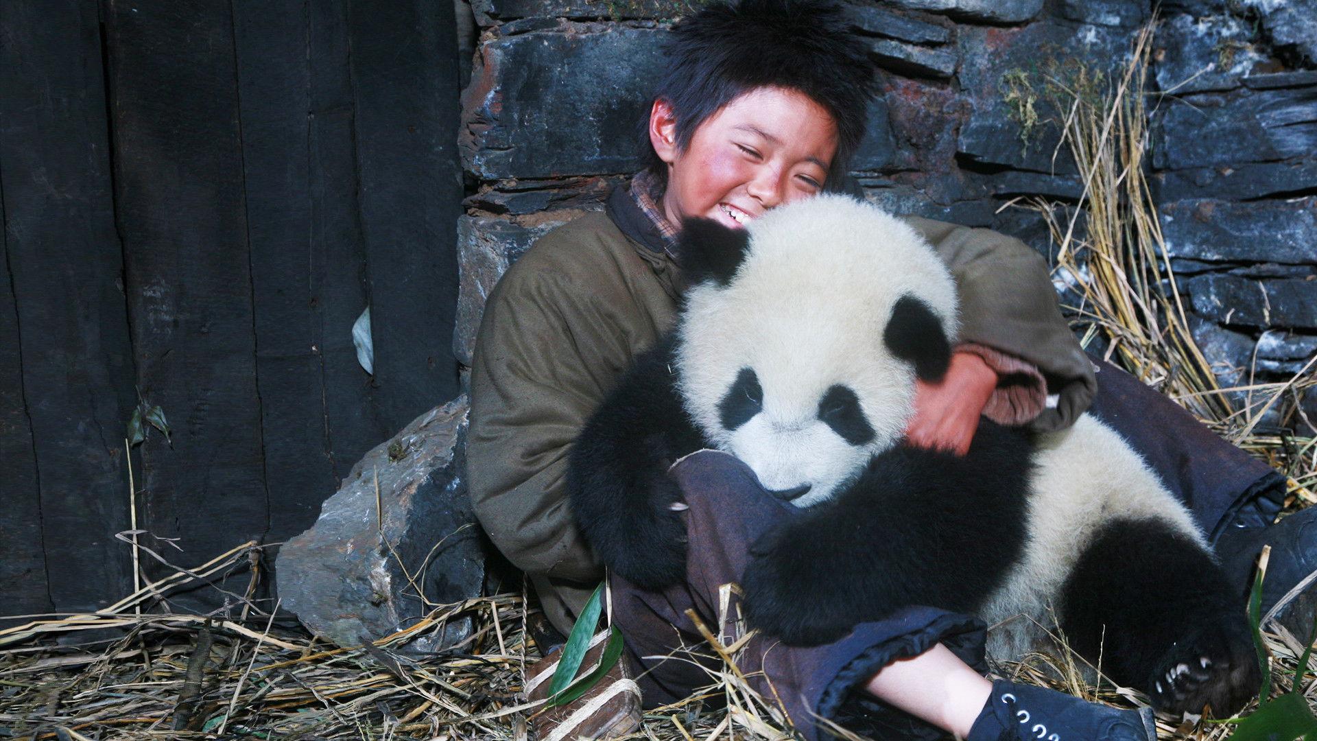 Trail of the Panda 2009 movie scene