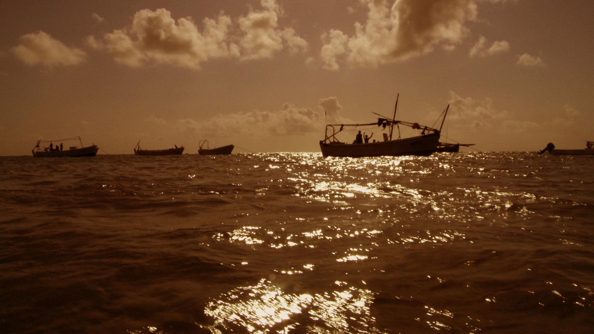 Pirating Pirates 2014 movie scene