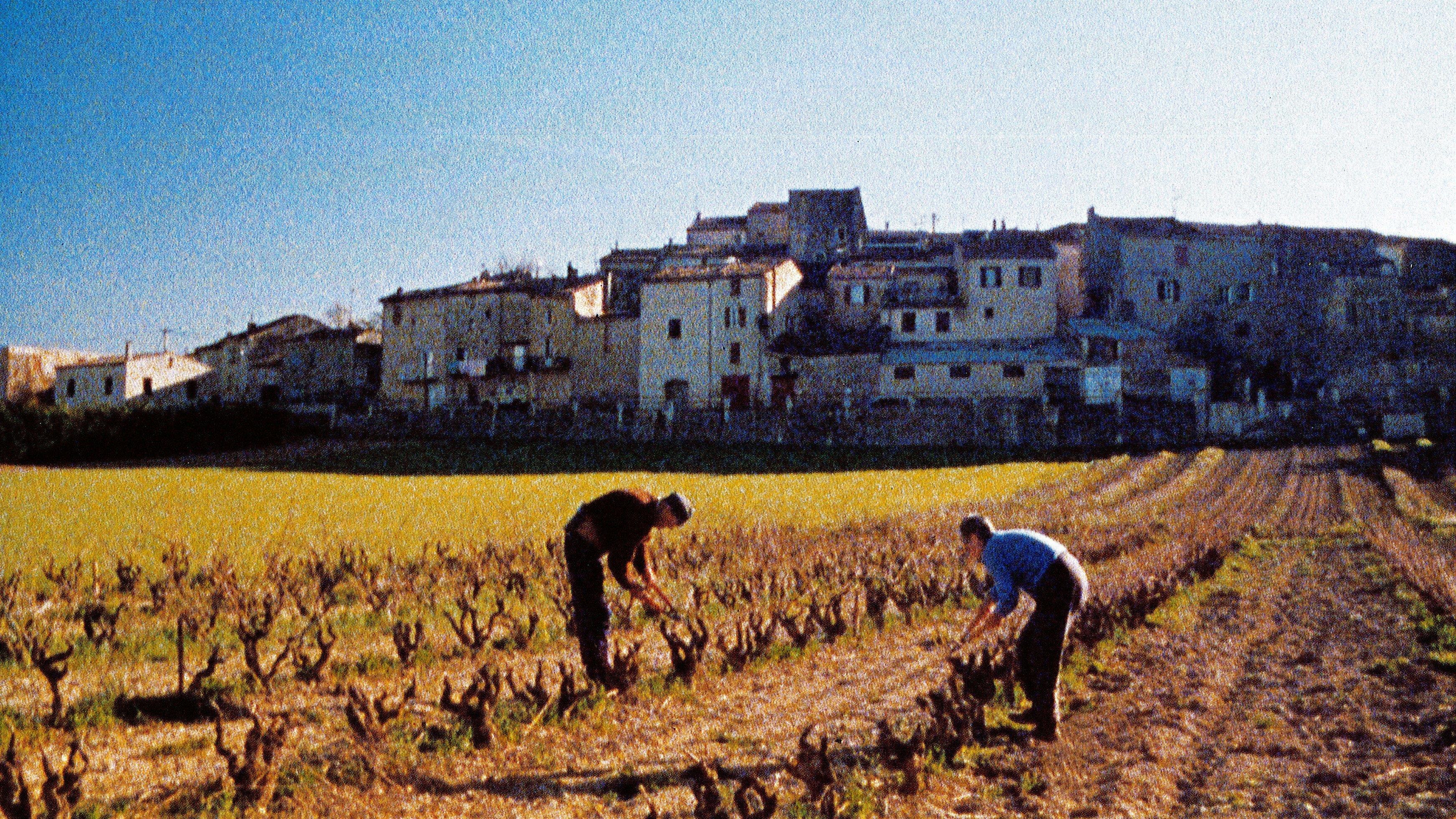 Les 4 saisons d'Espigoule 1999 movie scene
