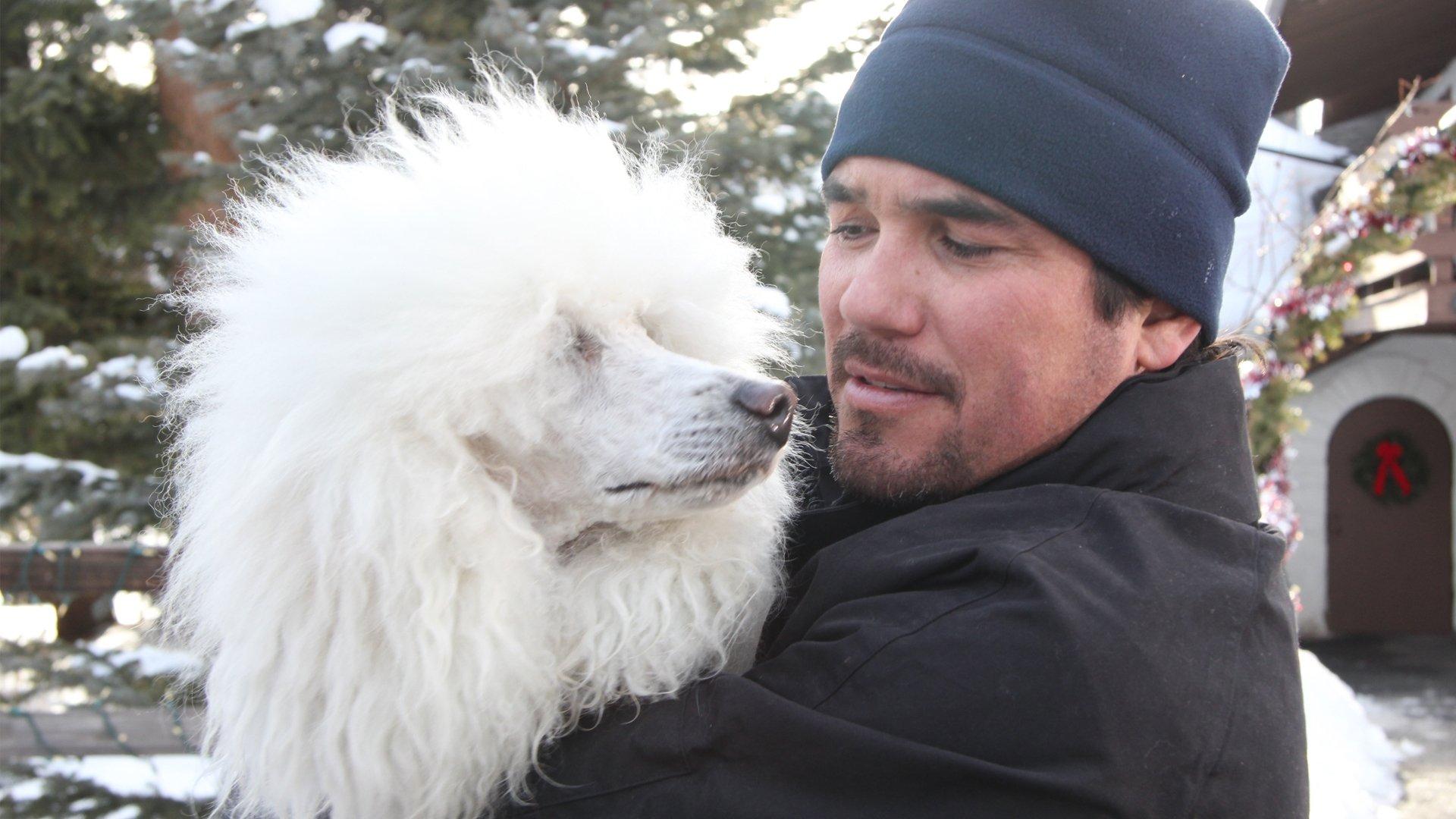 The Dog Who Saved Christmas Vacation 2013 movie scene