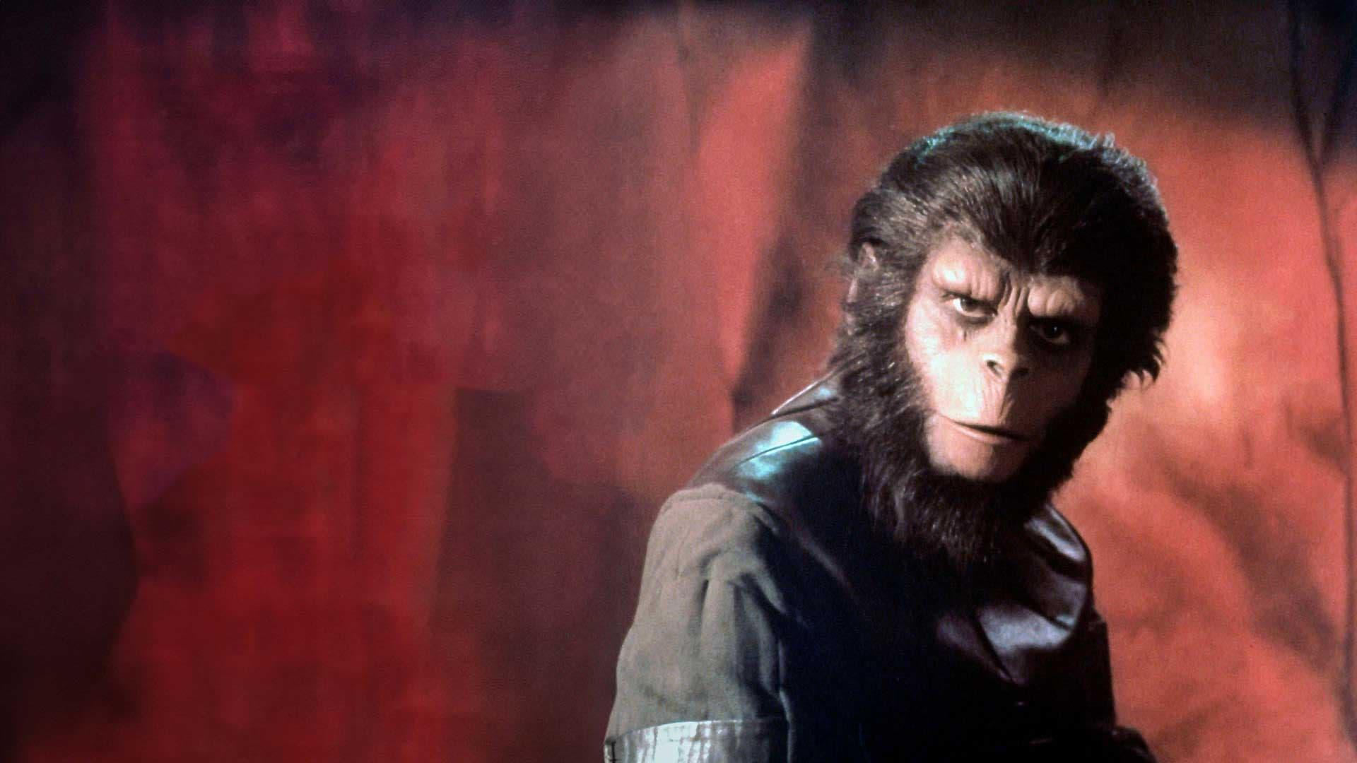 Planet of the Apes: A Milestone of Science Fiction 2024 movie scene