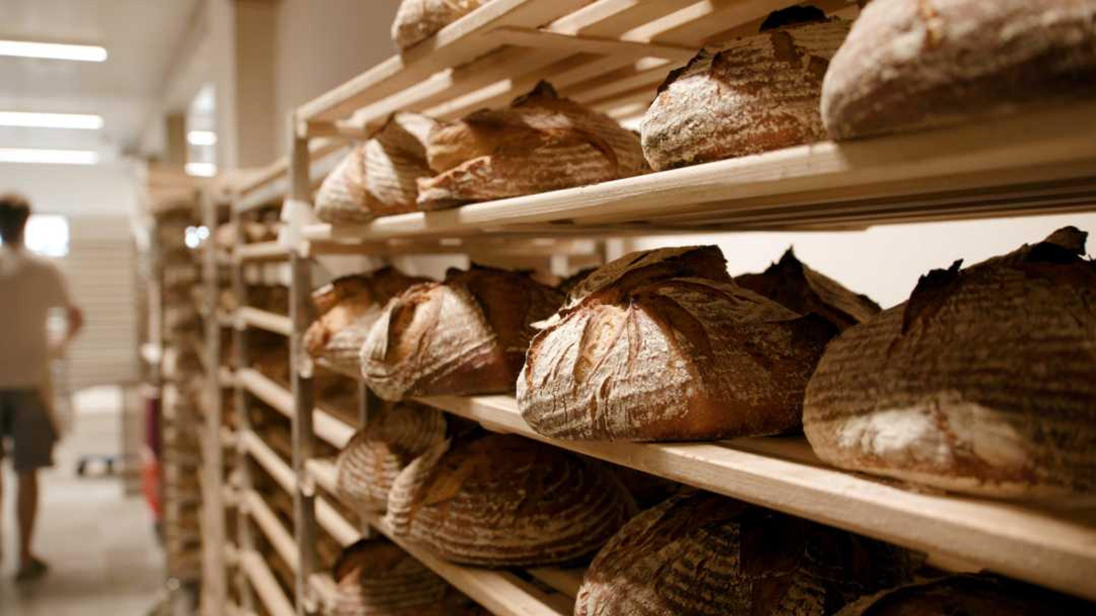 Bread: An Everyday Miracle 2020 movie scene
