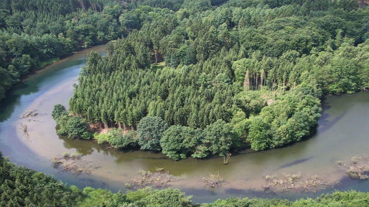 Germany's Wild Amazon 2017 movie scene