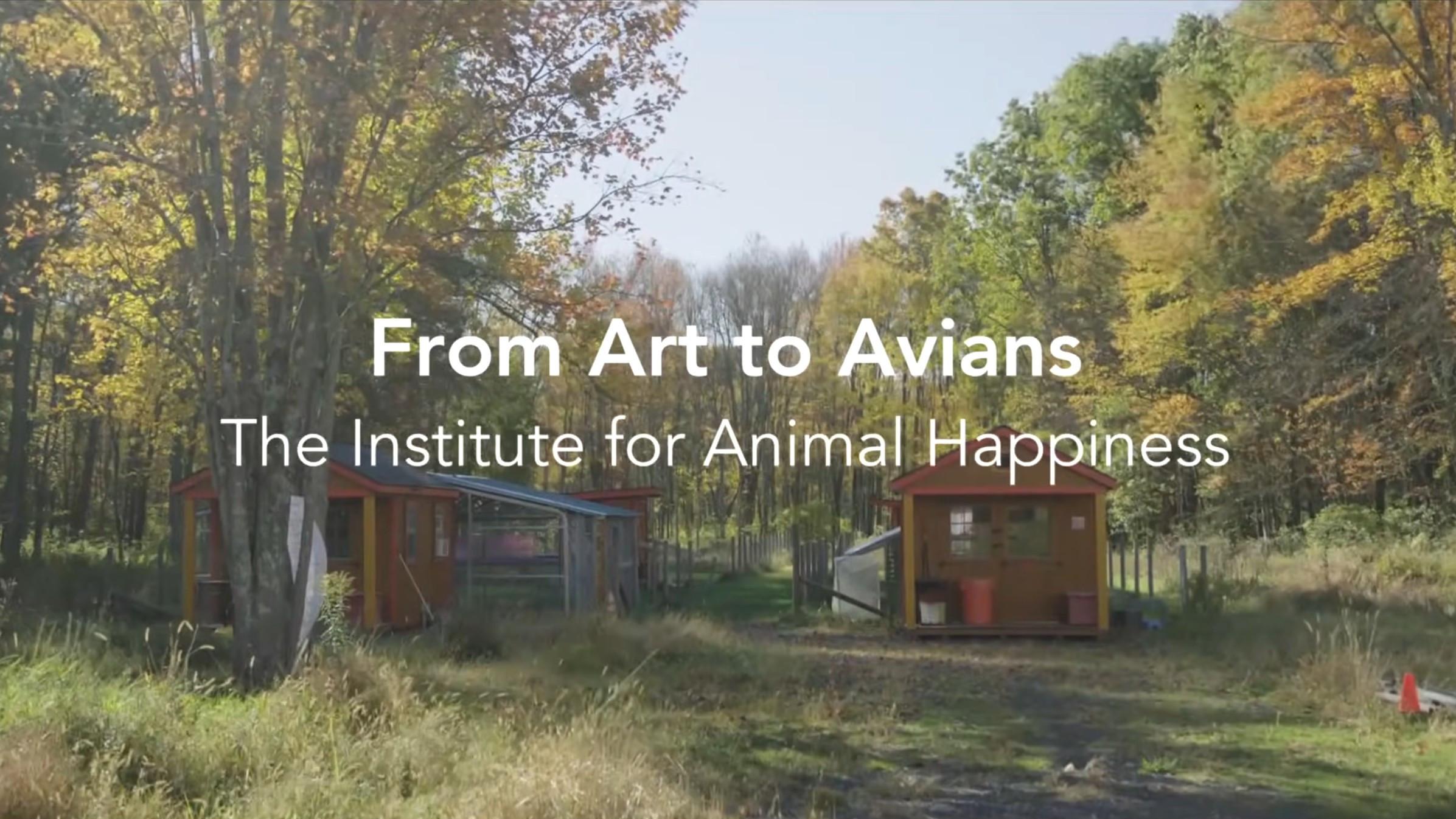 From Art to Avians movie scene