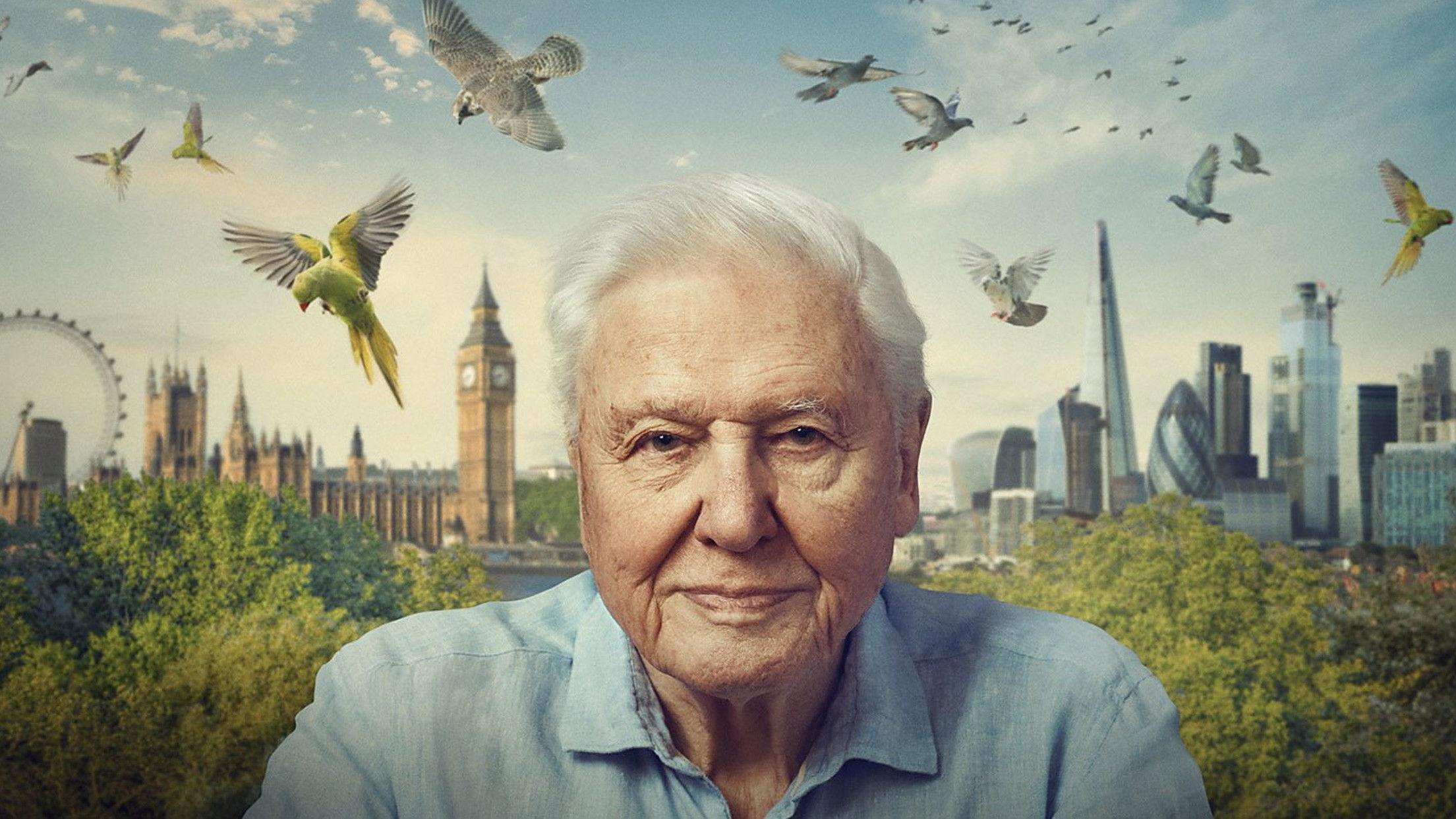 Wild London 2026 movie scene