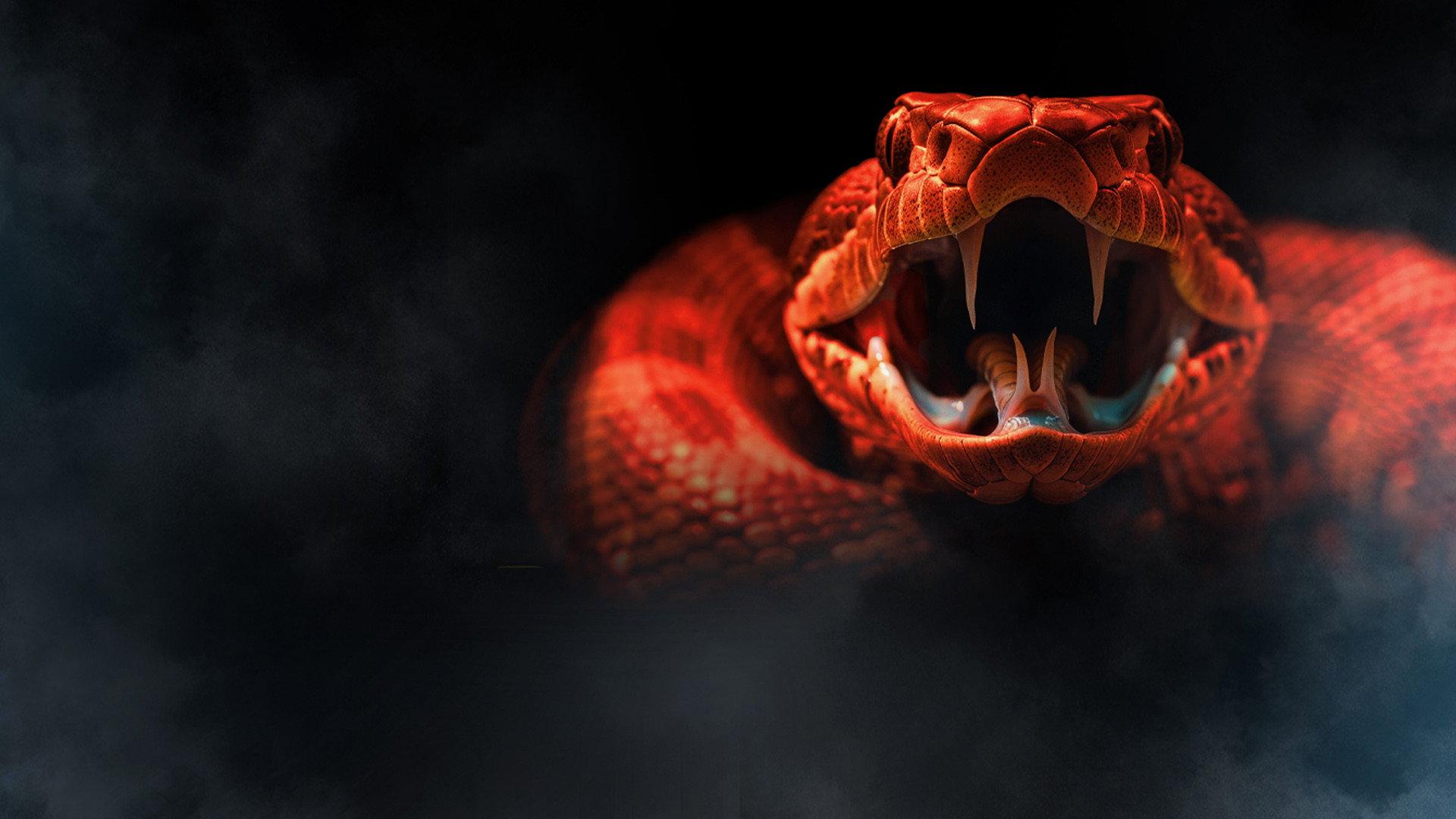 One Big Snake 2025 movie scene