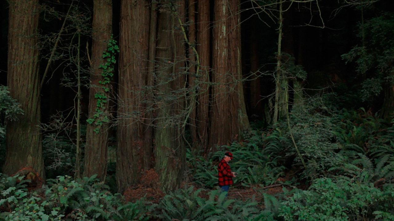 Behind the Redwood Curtain 2013 movie scene