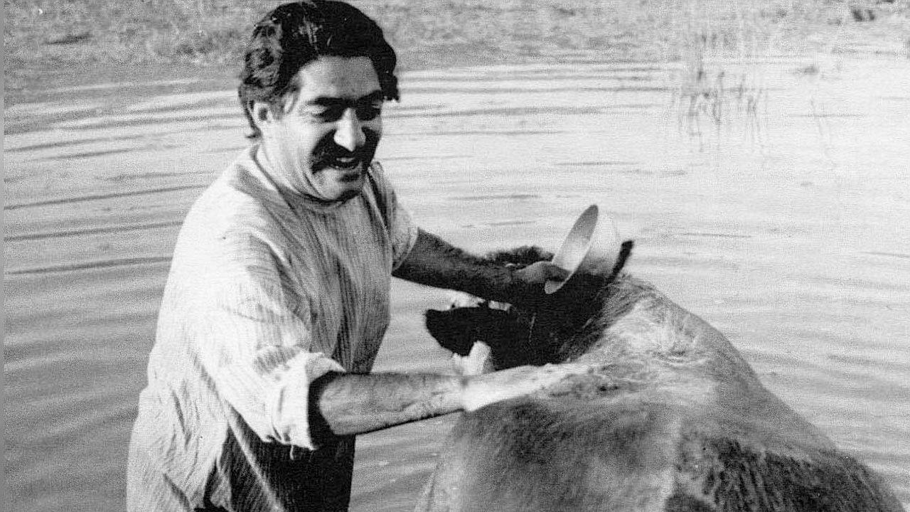 The Cow 1969 movie scene
