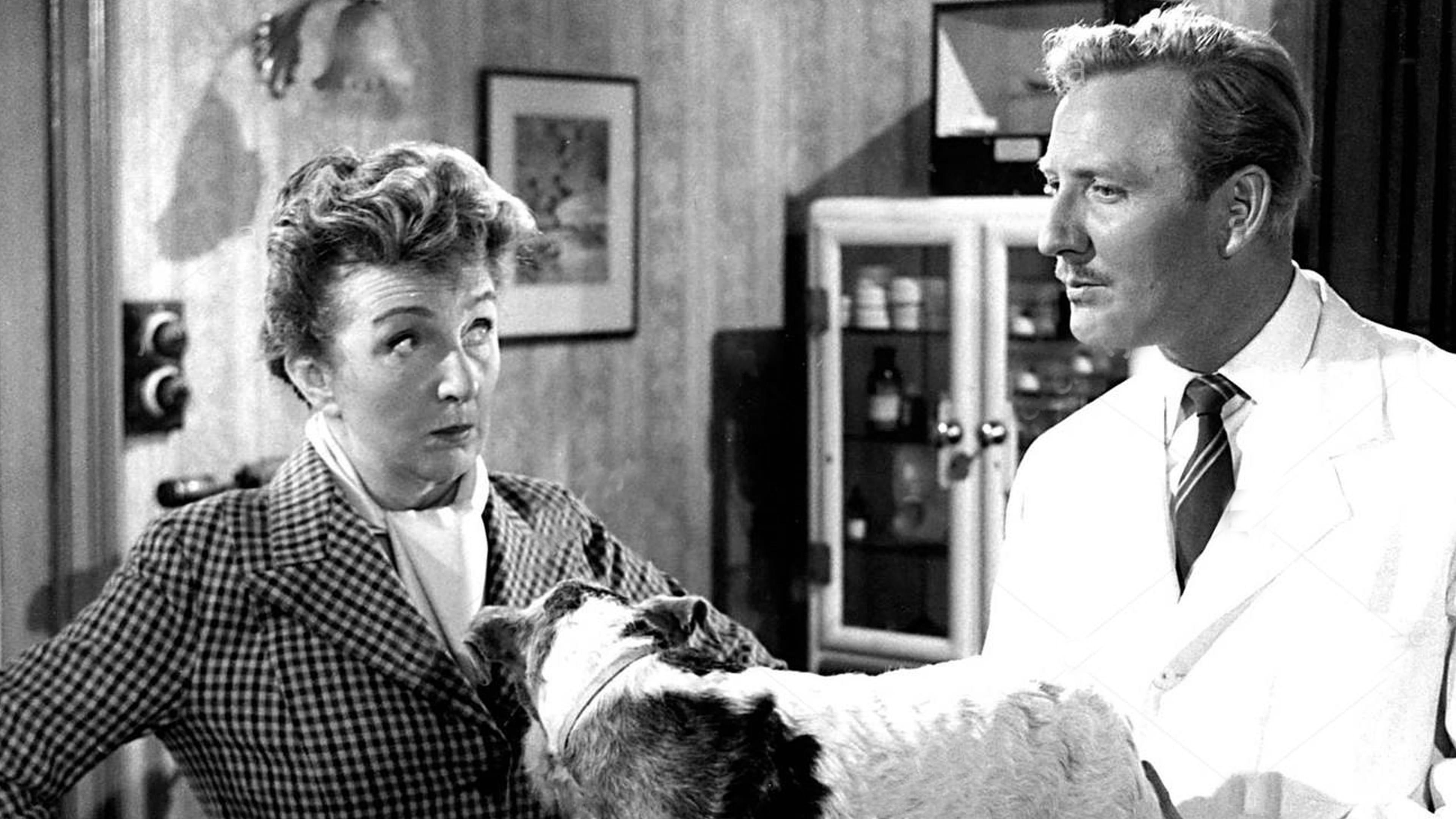 In the Doghouse 1962 movie scene