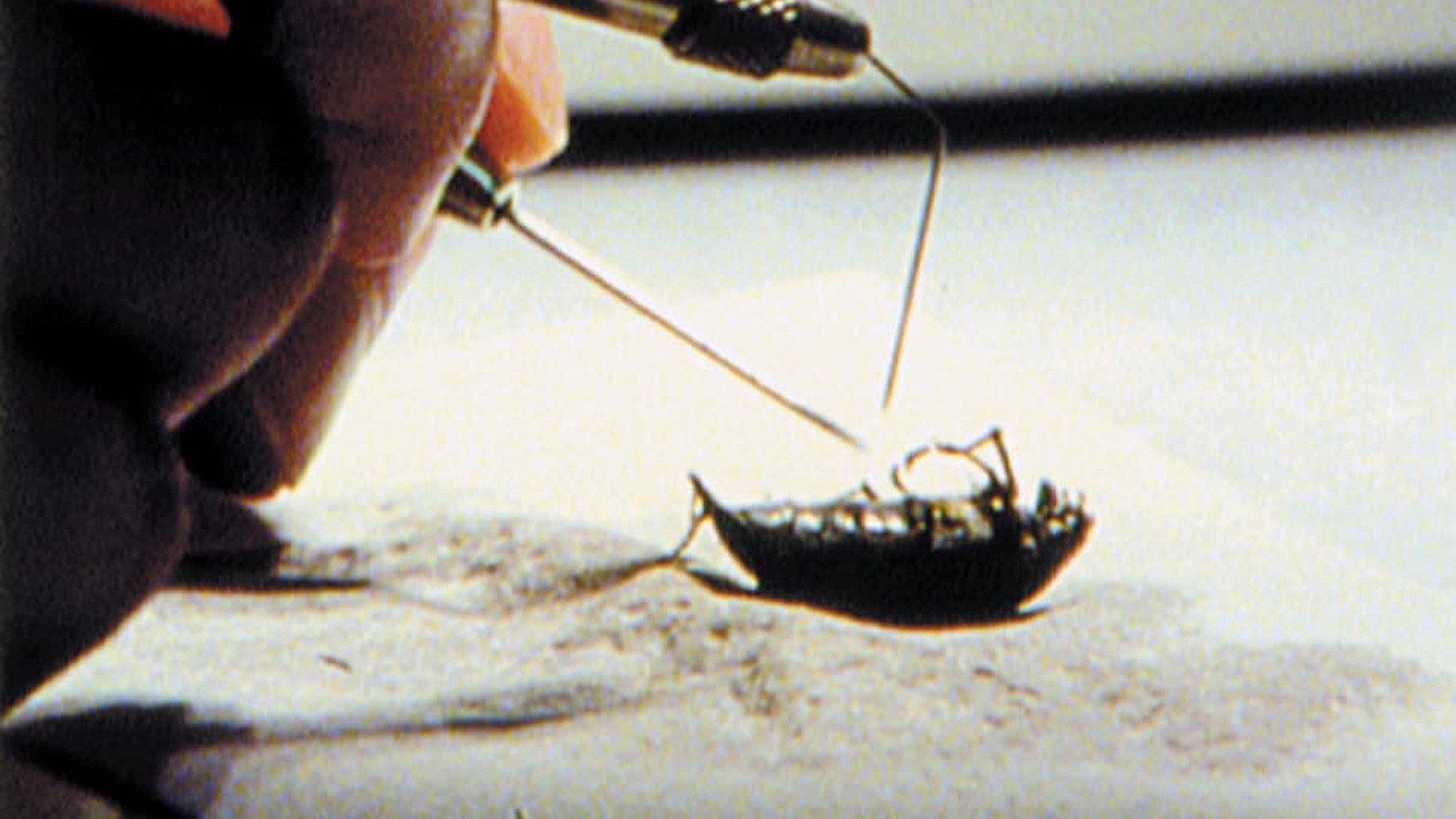 From Stag Beetle to Swastika 2002 movie scene