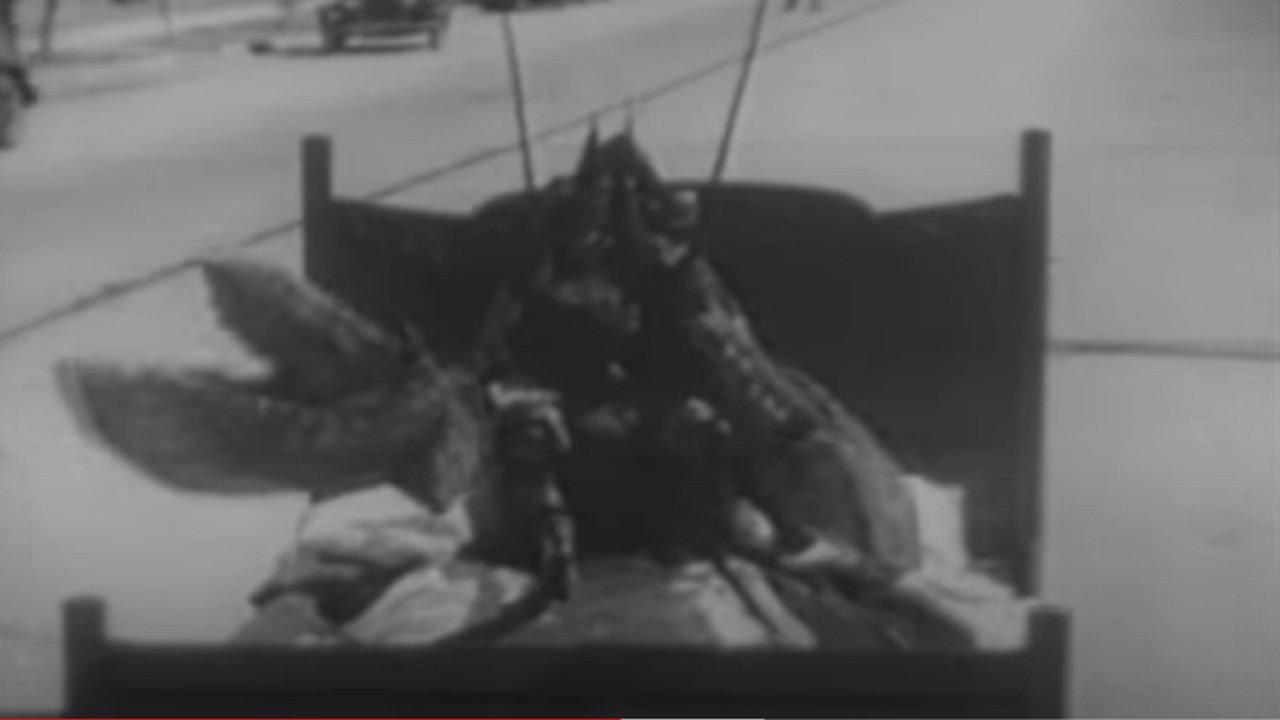 The Fresh Lobster 1928 movie scene