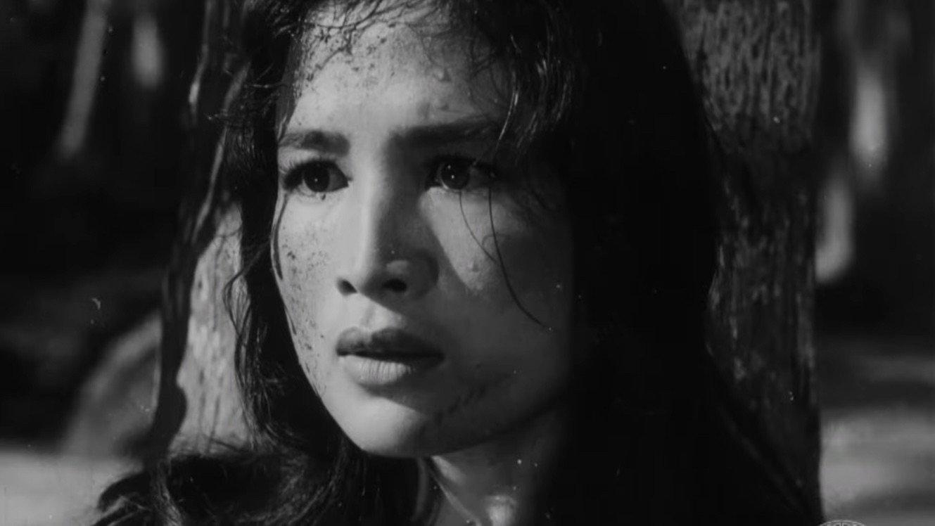 17th Parallel, Nights and Days 1973 movie scene