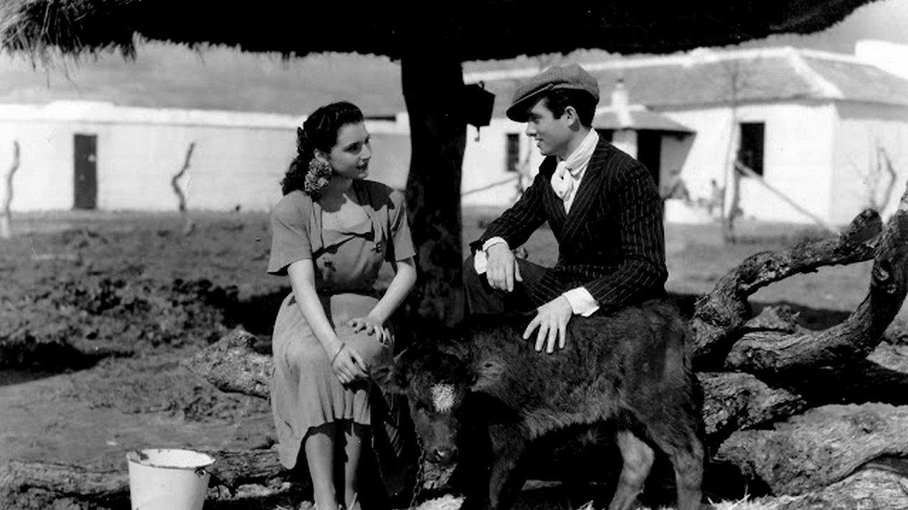 Currito de la Cruz 1949 movie scene
