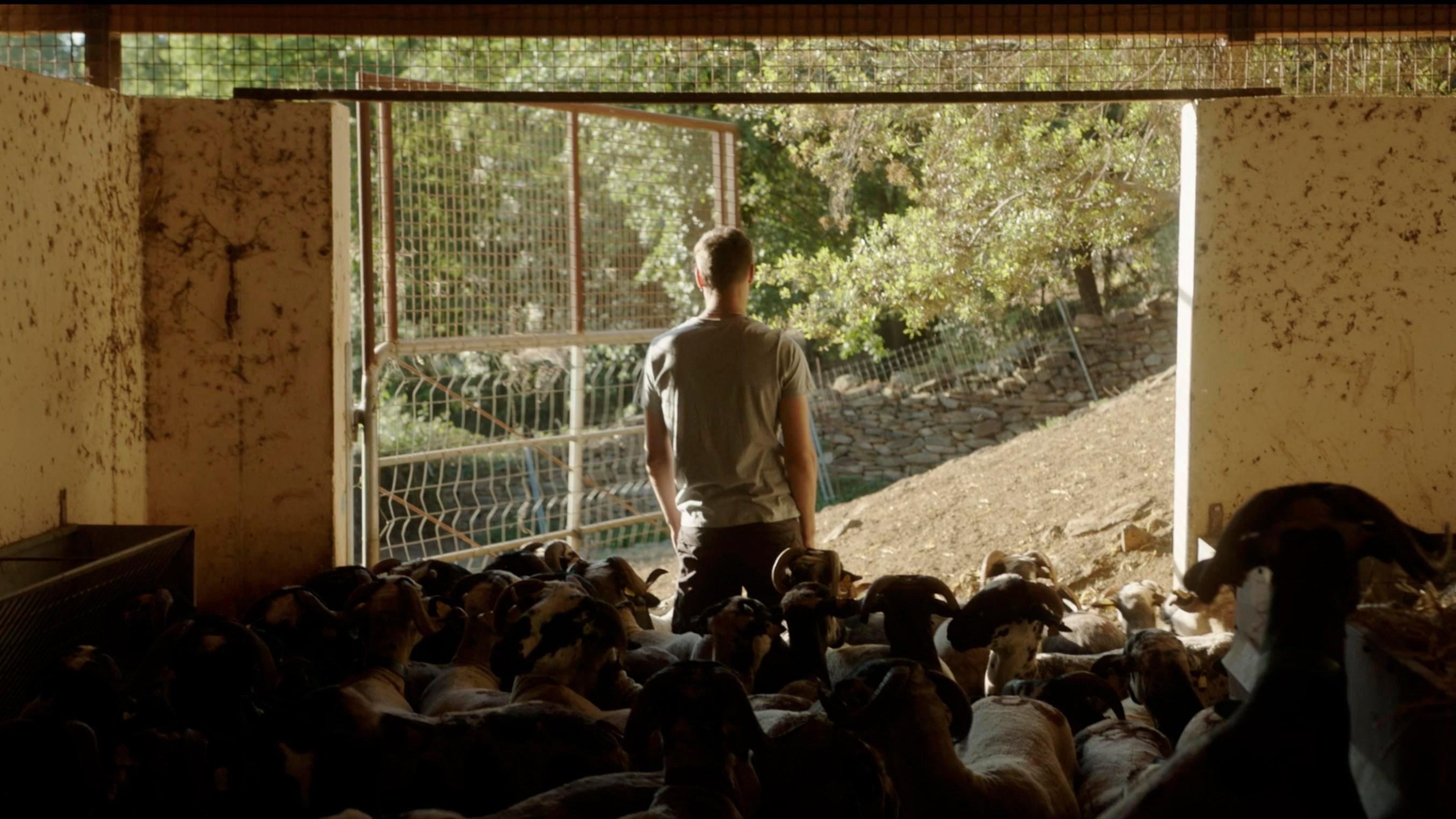 Children of May 2022 movie scene