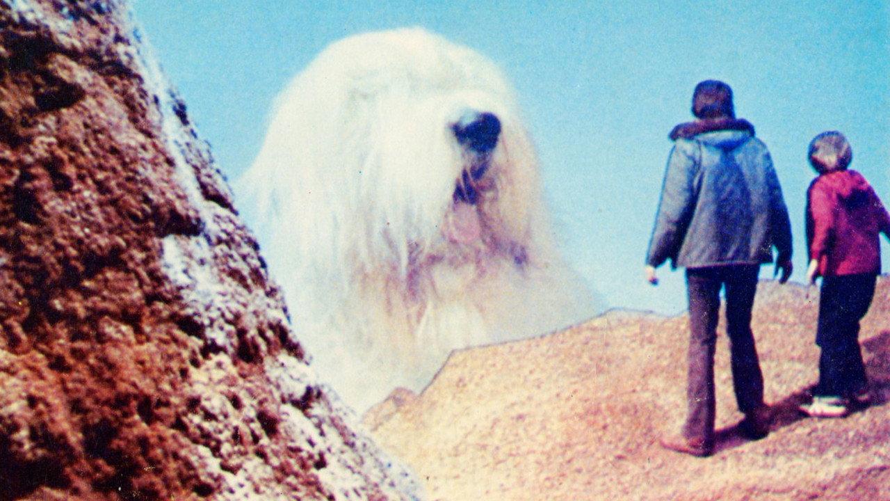 Digby, the Biggest Dog in the World 1973 movie scene