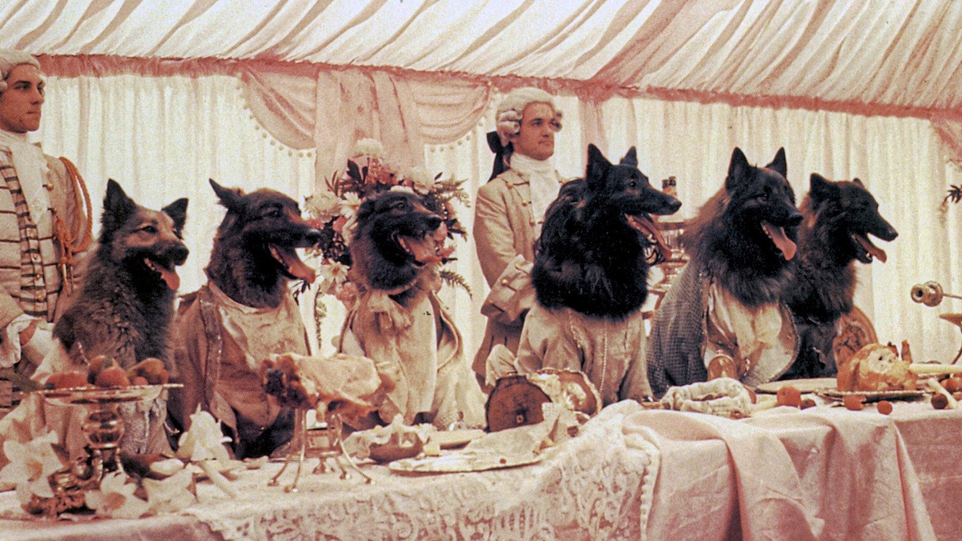 The Company of Wolves 1984 movie scene