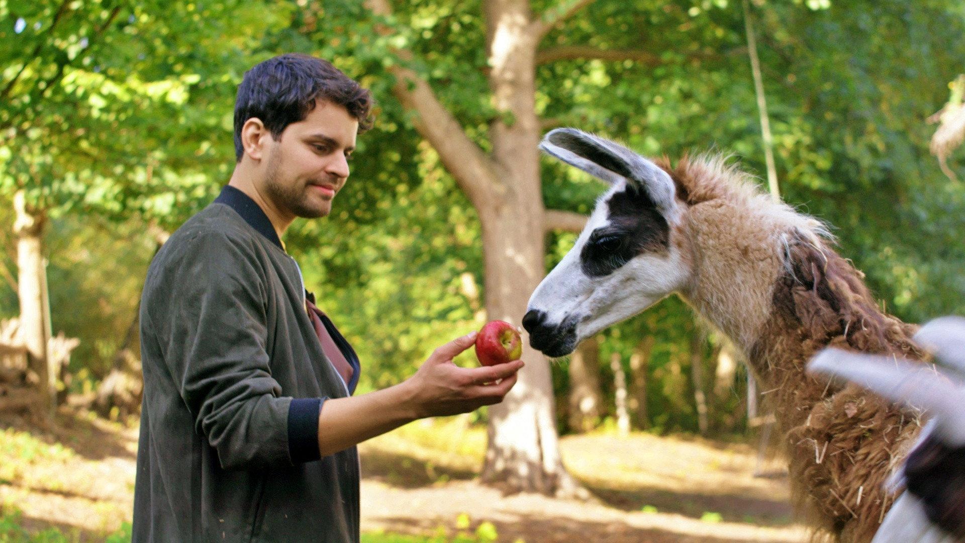 Schlechte Helden oder ein Lama namens Beethoven 2022 movie scene