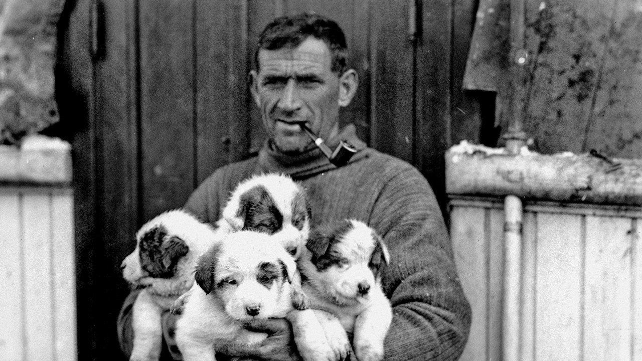 Tom Crean: Antarctica's Forgotten Hero 2002 movie scene
