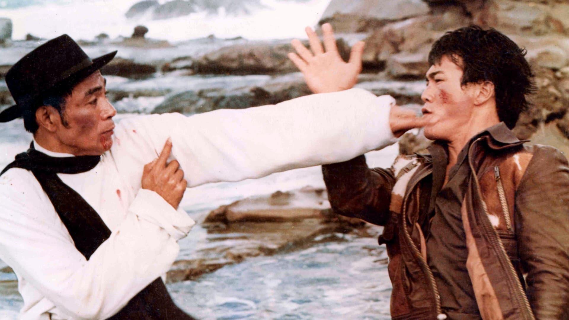 Exit the Dragon, Enter the Tiger 1976 movie scene