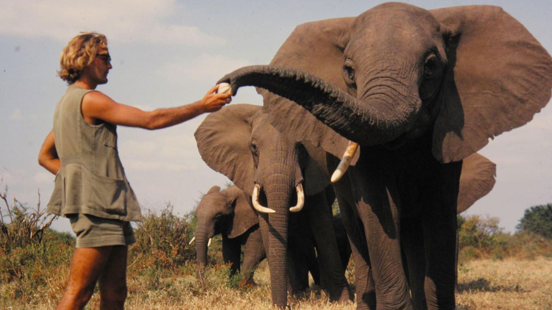 A Life Among Elephants 2024 movie scene