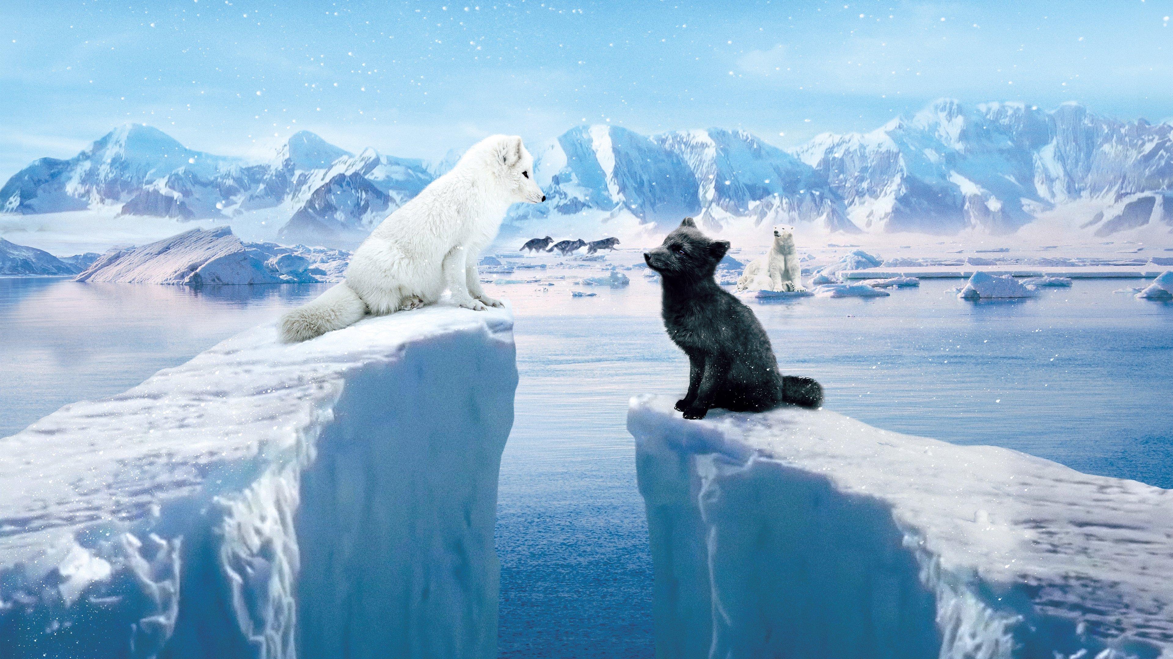 Kina & Yuk 2023 movie scene
