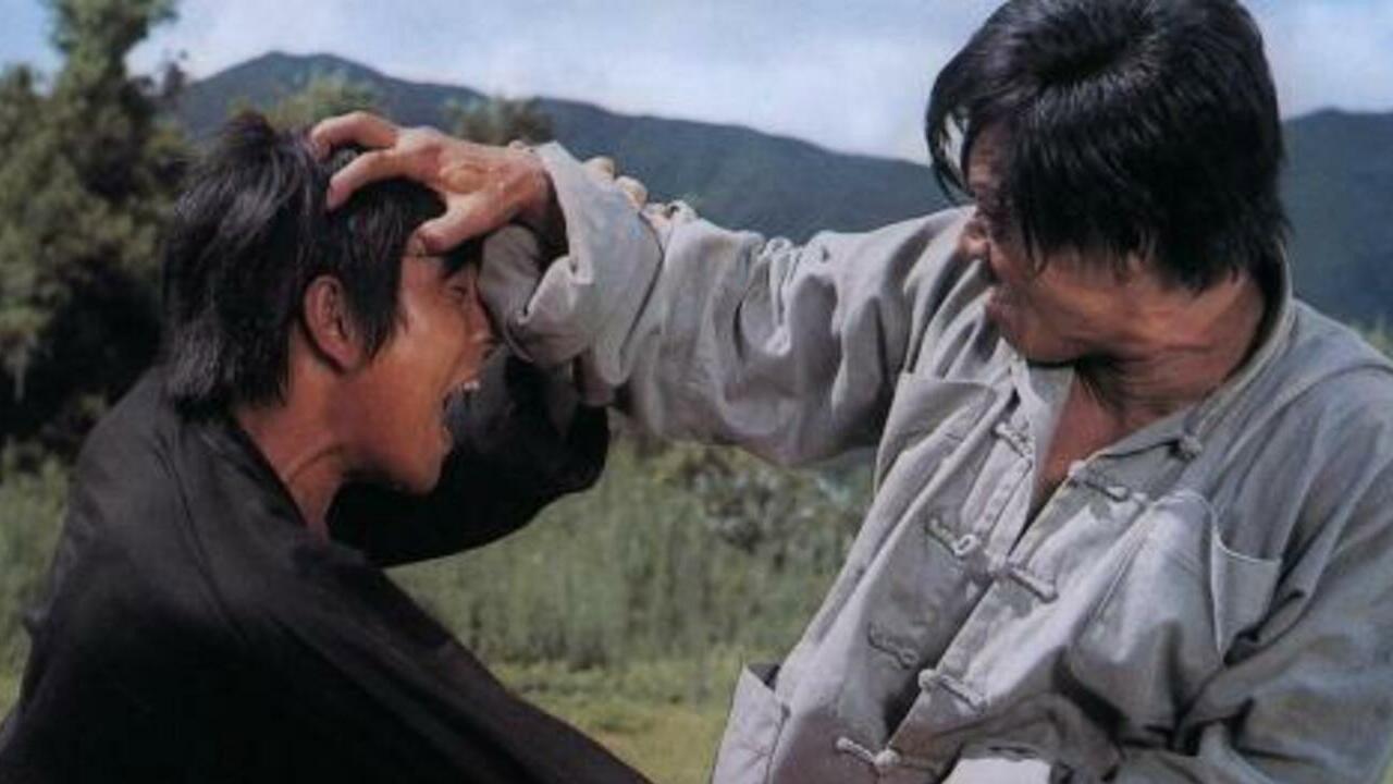 Revenge of the Dragon 1972 movie scene