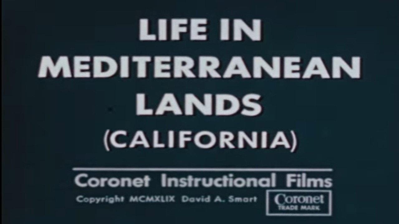 Life In Mediterranean Lands (California) 1949 movie scene