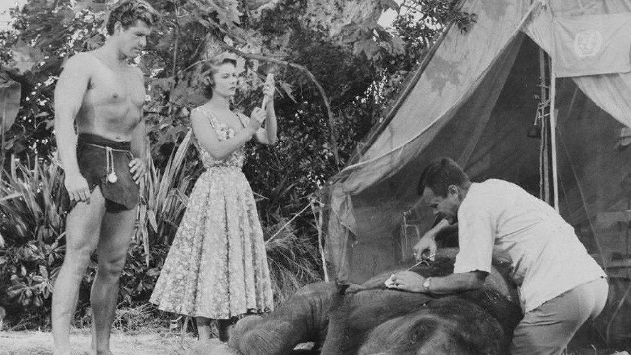 Tarzan's Hidden Jungle 1955 movie scene