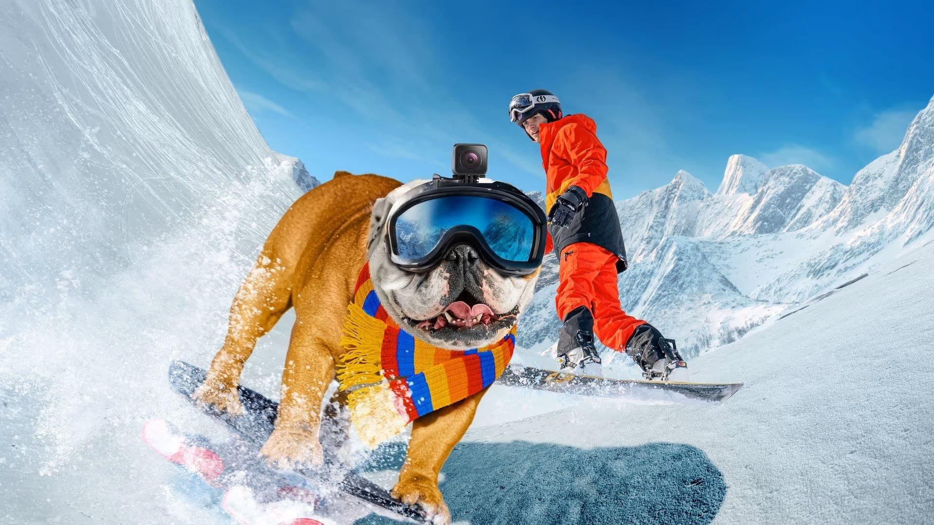 Powder Pup 2024 movie scene