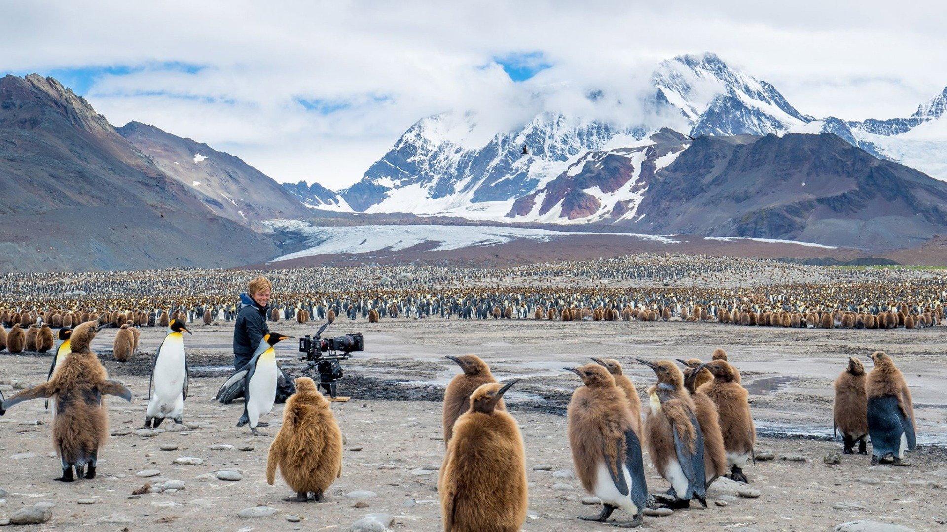 Wildlife: Resurrection Island 2018 movie scene