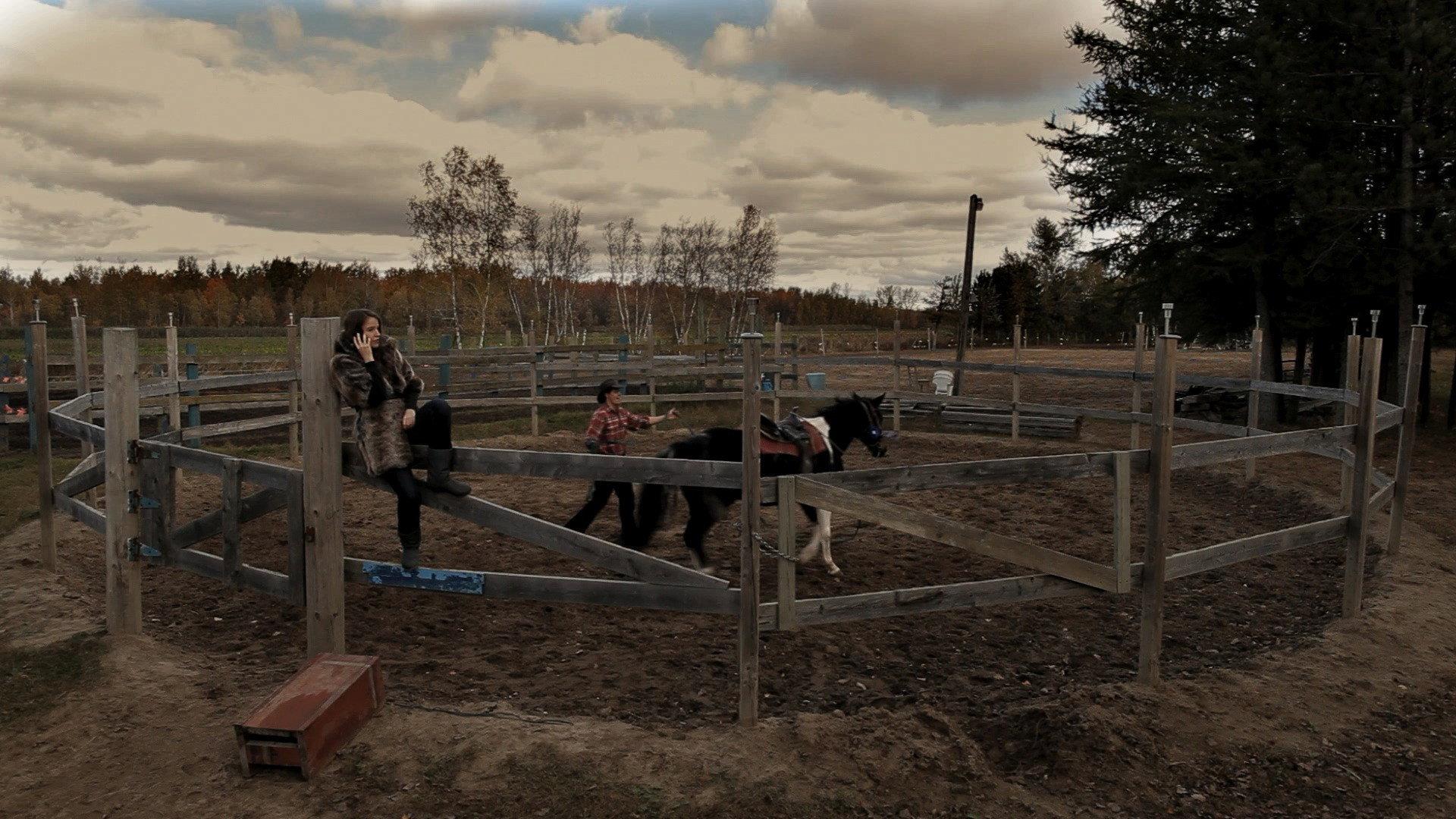 Cheval 2014 movie scene