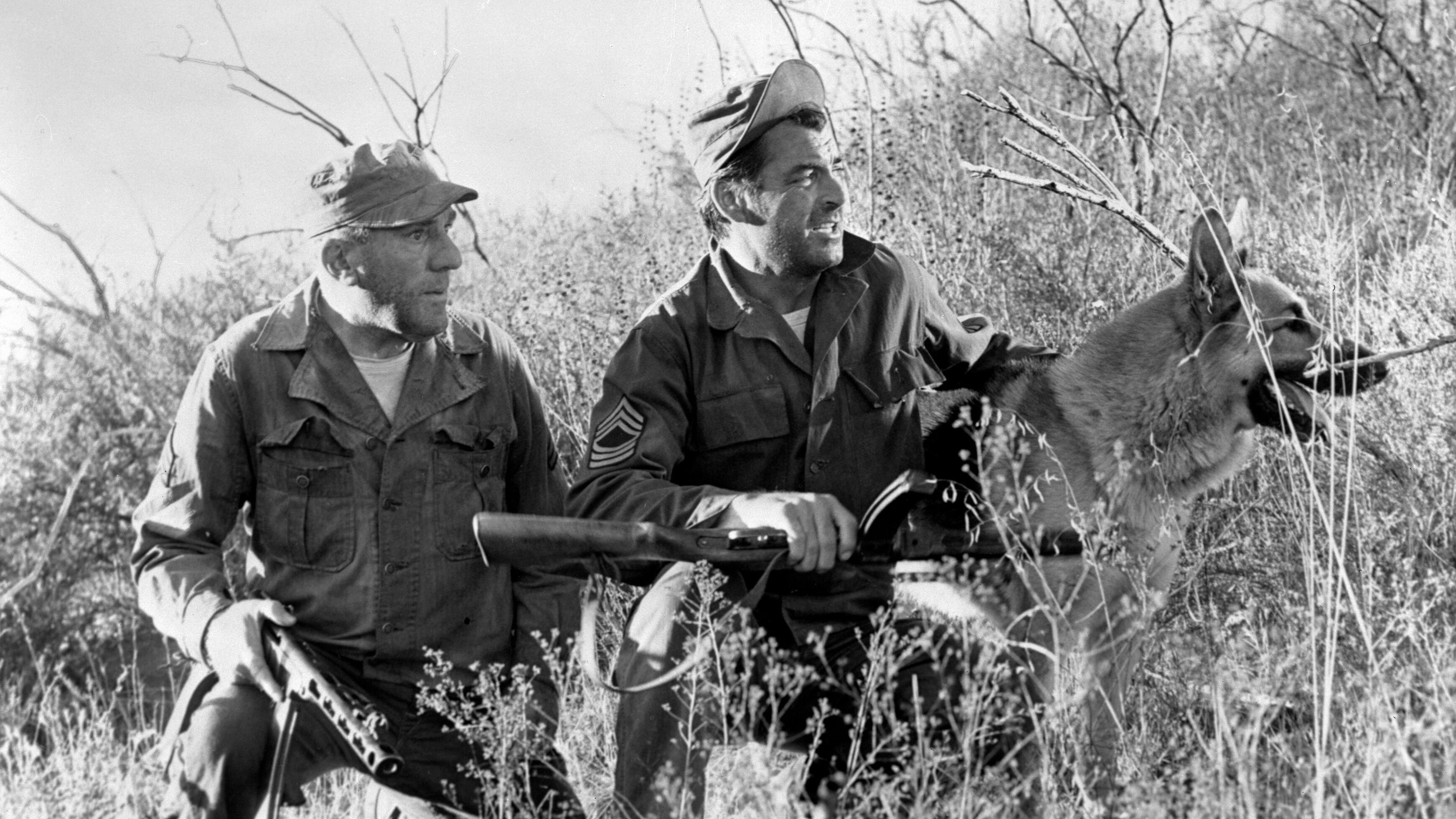 The Young and the Brave 1963 movie scene