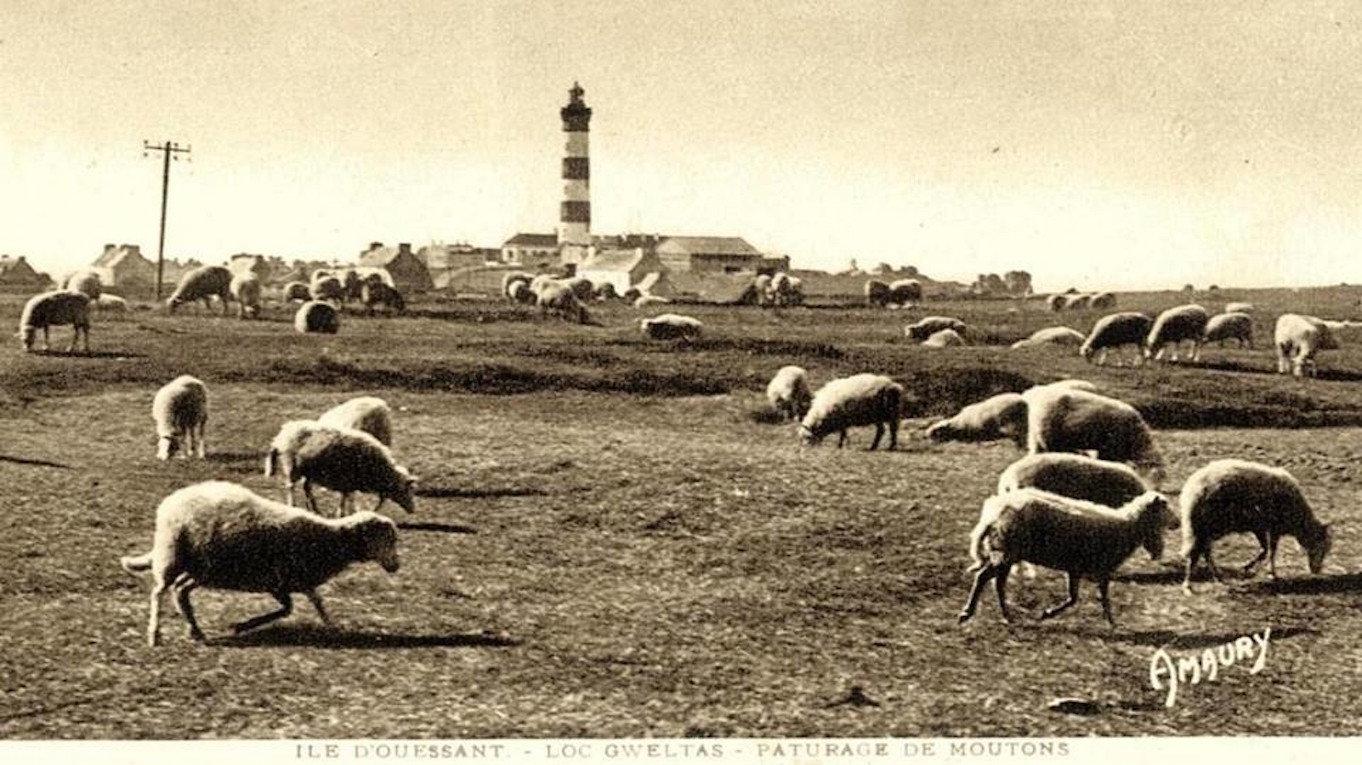 There was oil in Ouessant island 1976 movie scene