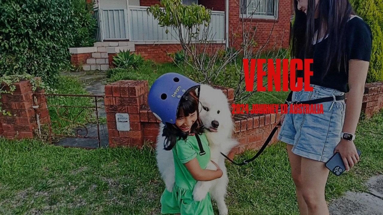 Venice 2024 Journey Australia 2024 movie scene