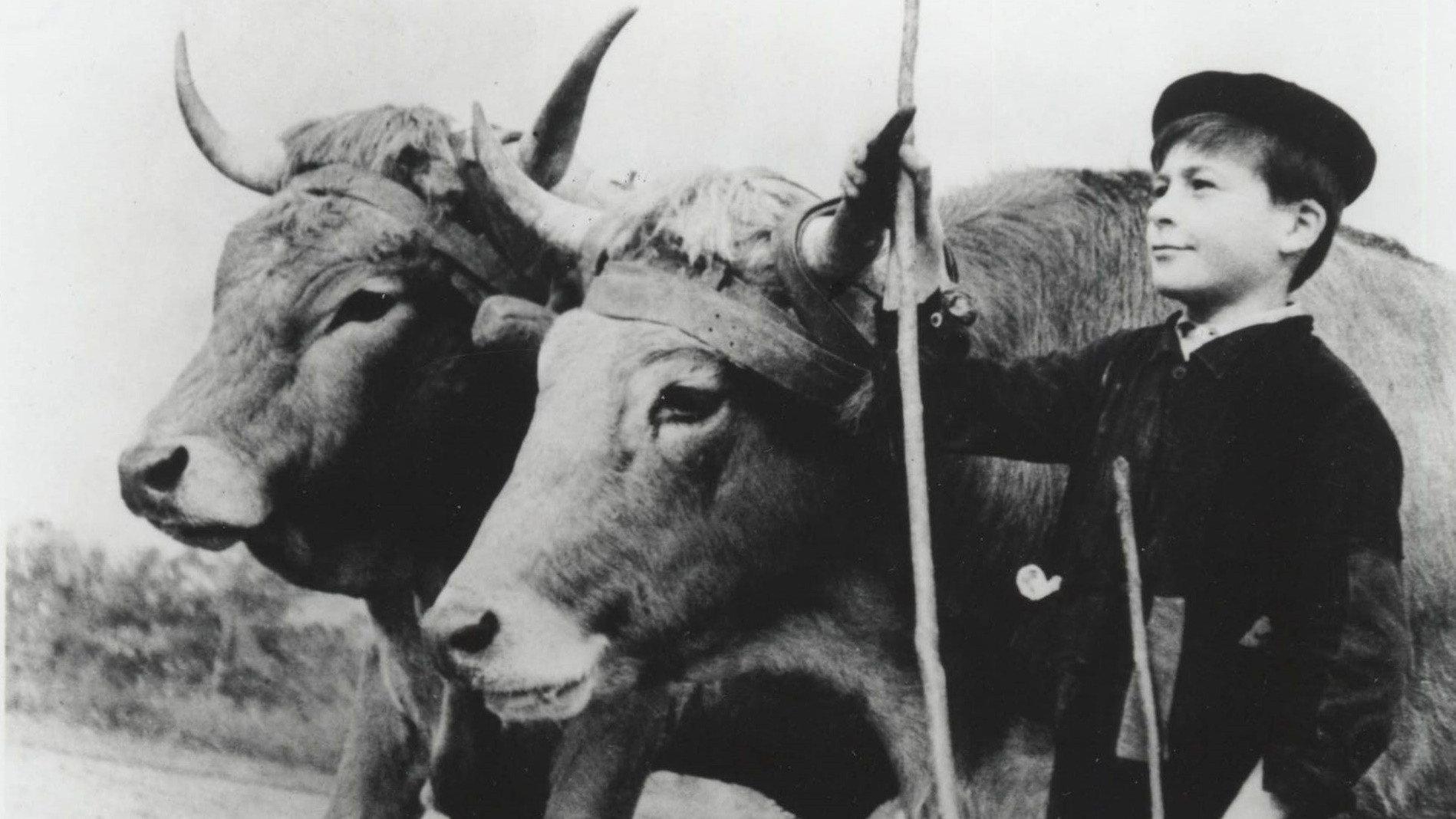 Farrebique, or the Four Seasons 1947 movie scene