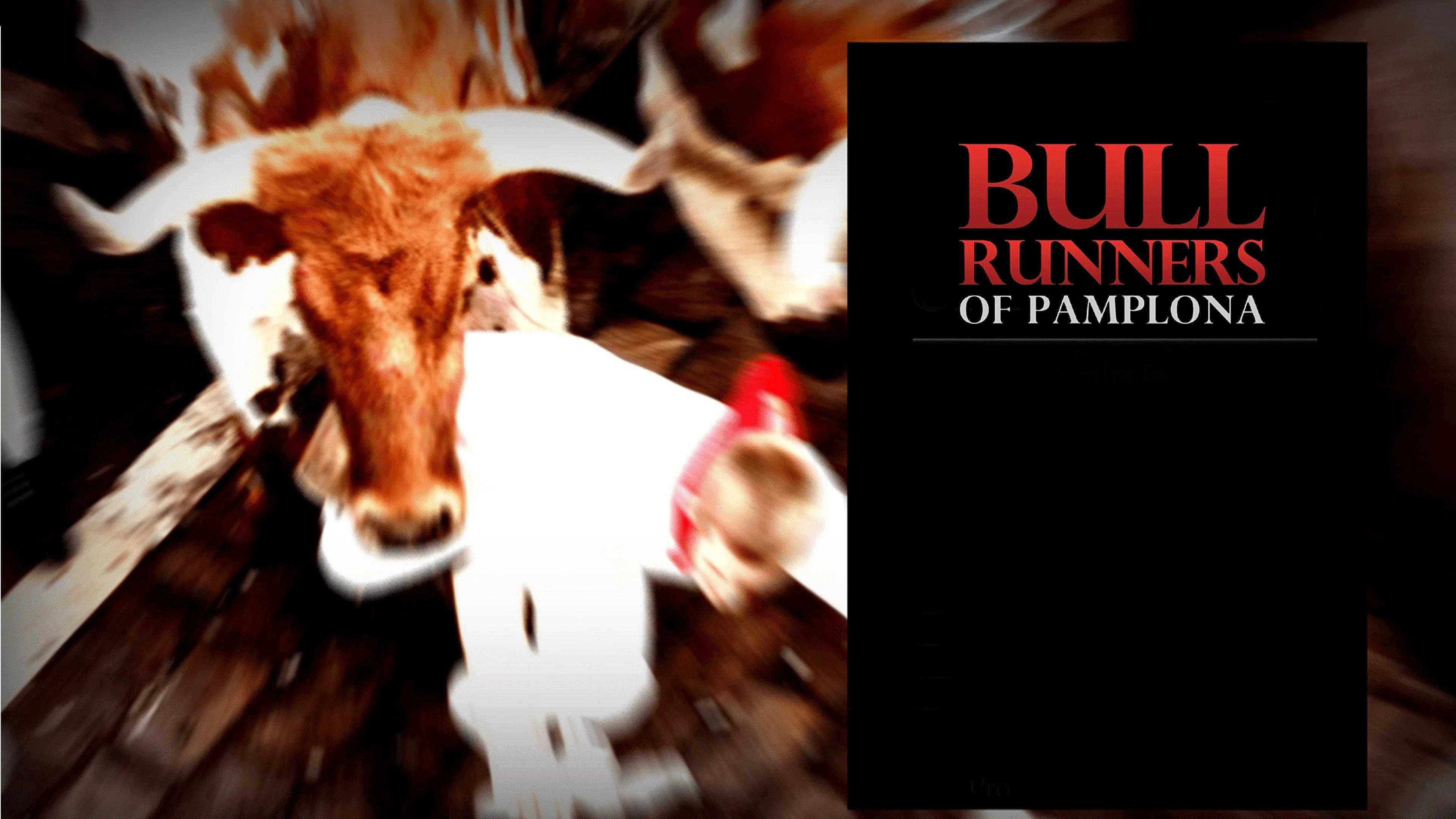 Bull Runners of Pamplona 2011 movie scene