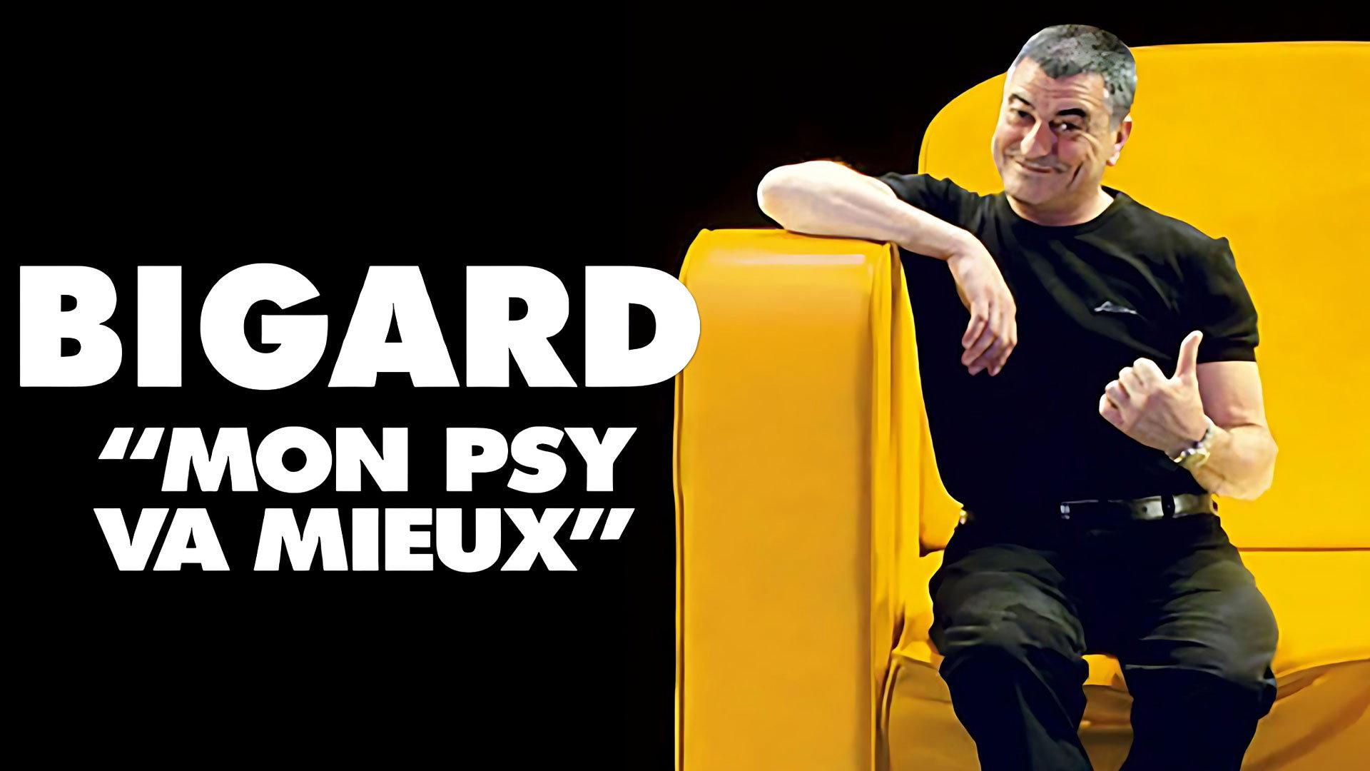 Bigard : Mon Psy Va Mieux 2007 movie scene