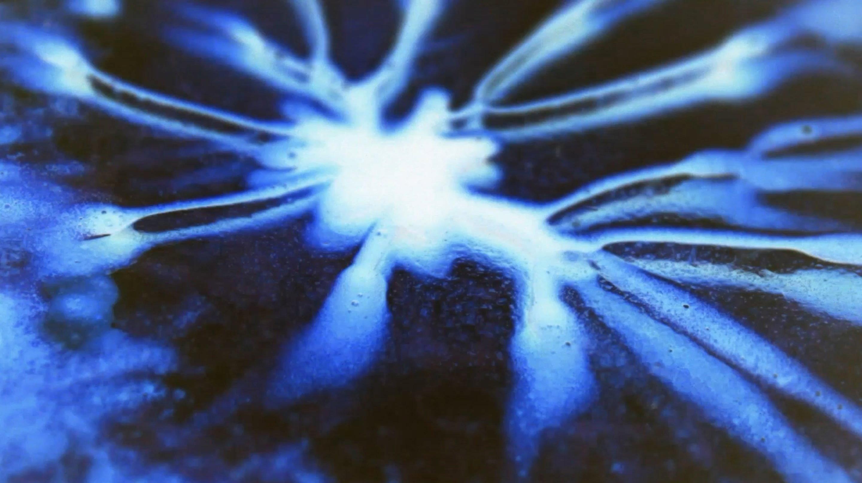 Magnification. 2024 movie scene