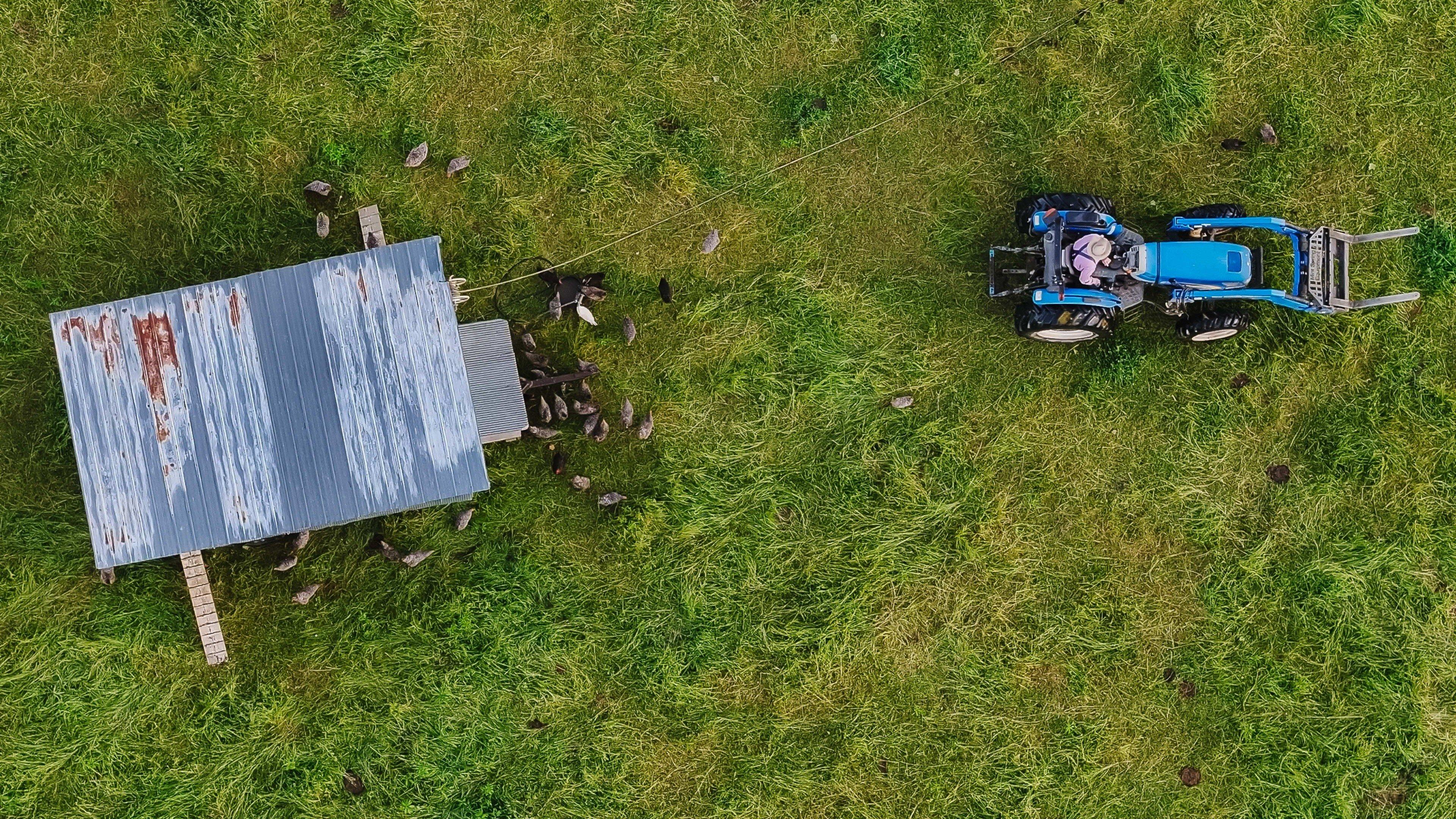 The Lunatic Farmer 2025 movie scene