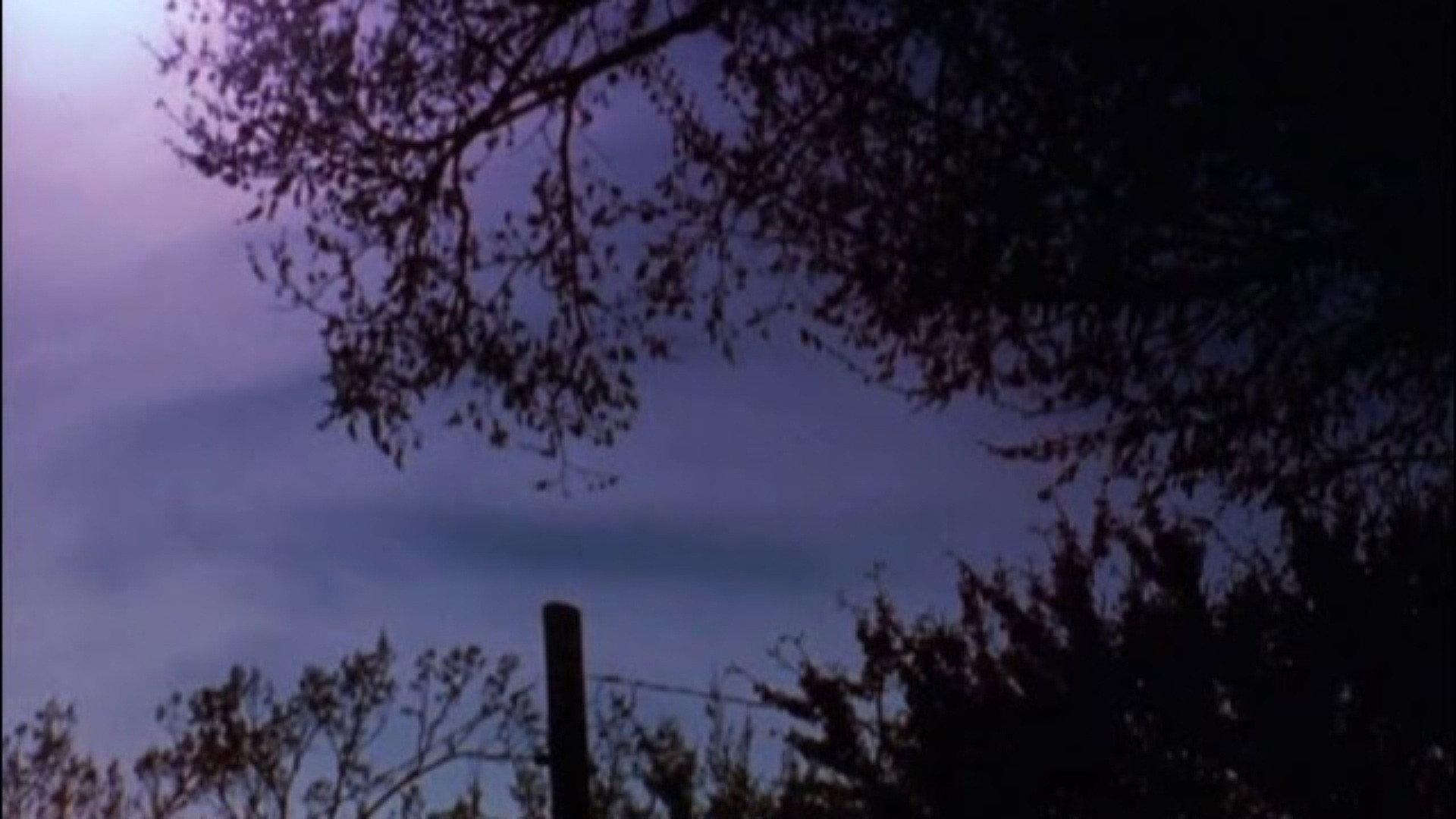 The Stars Are Beautiful 1974 movie scene