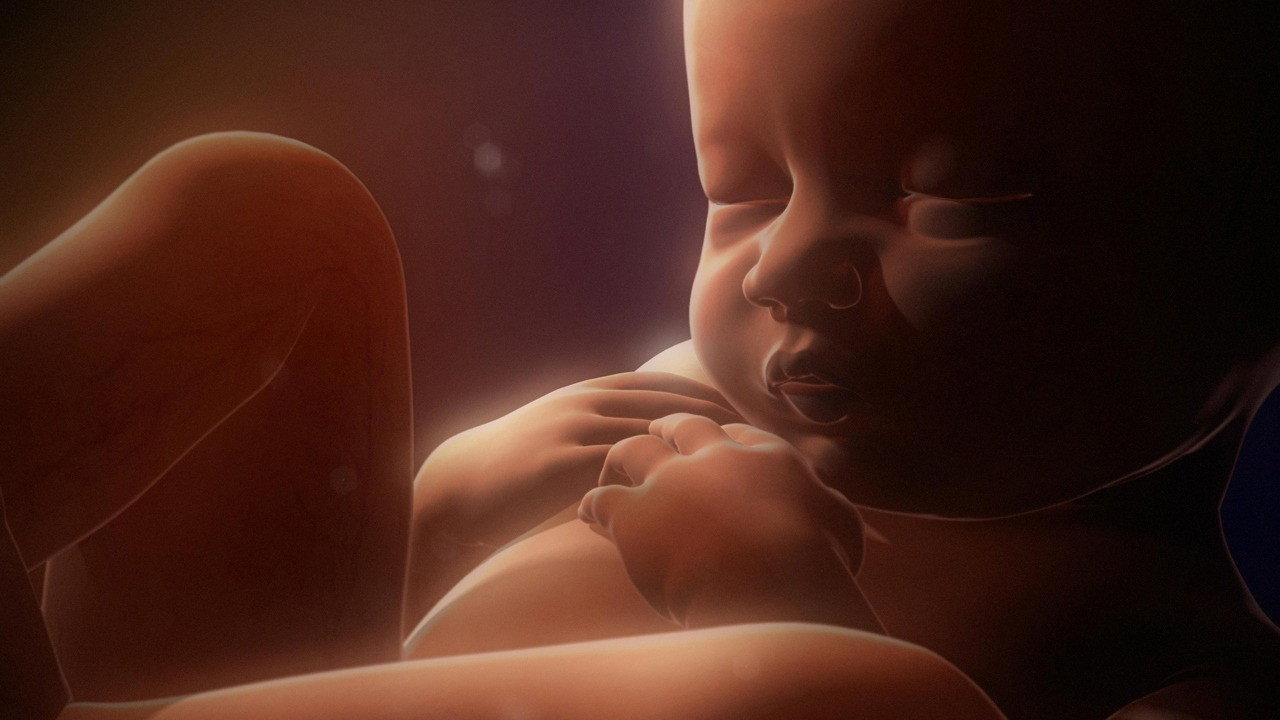 In the Womb: Multiples 2007 movie scene