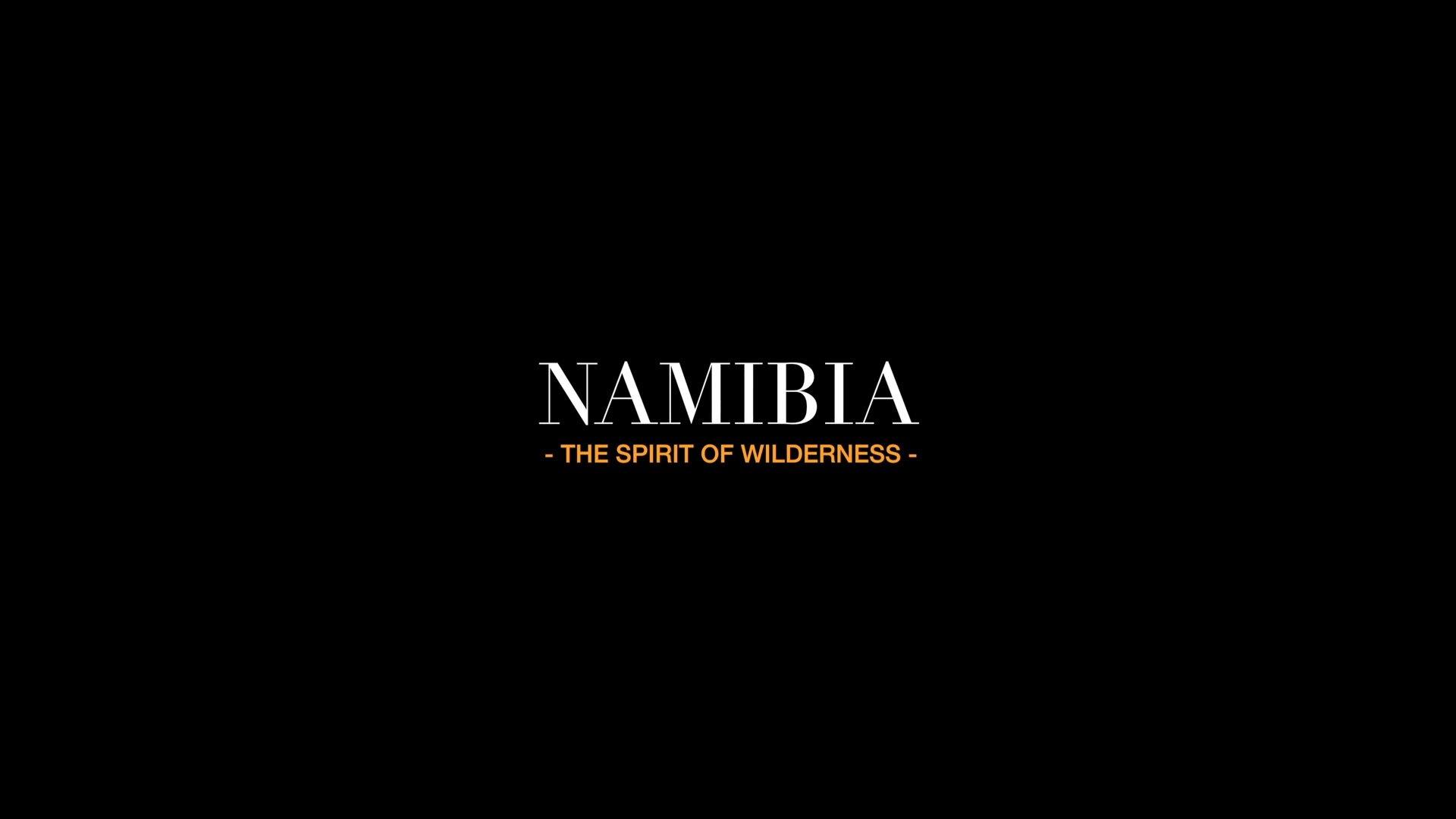Namibia: The Spirit of Wilderness 2016 movie scene