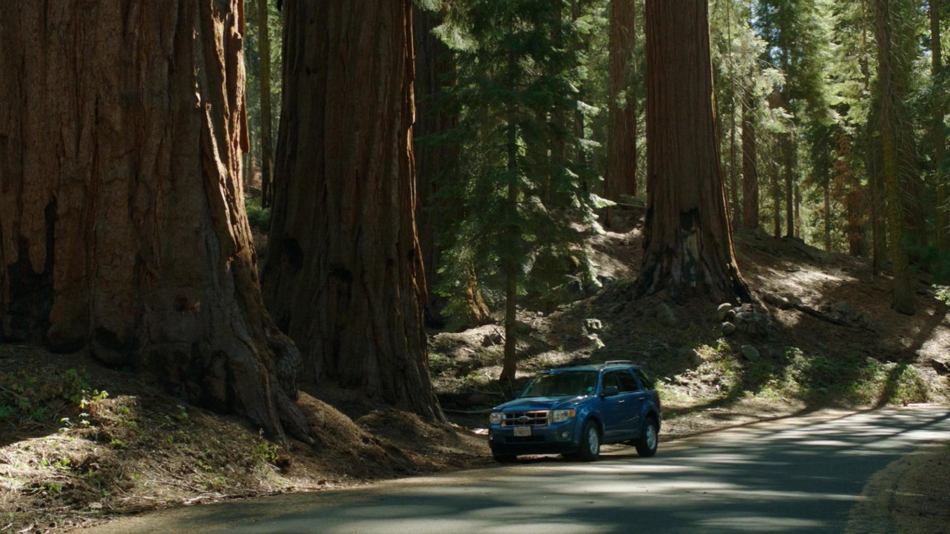 Sequoia 2014 movie scene
