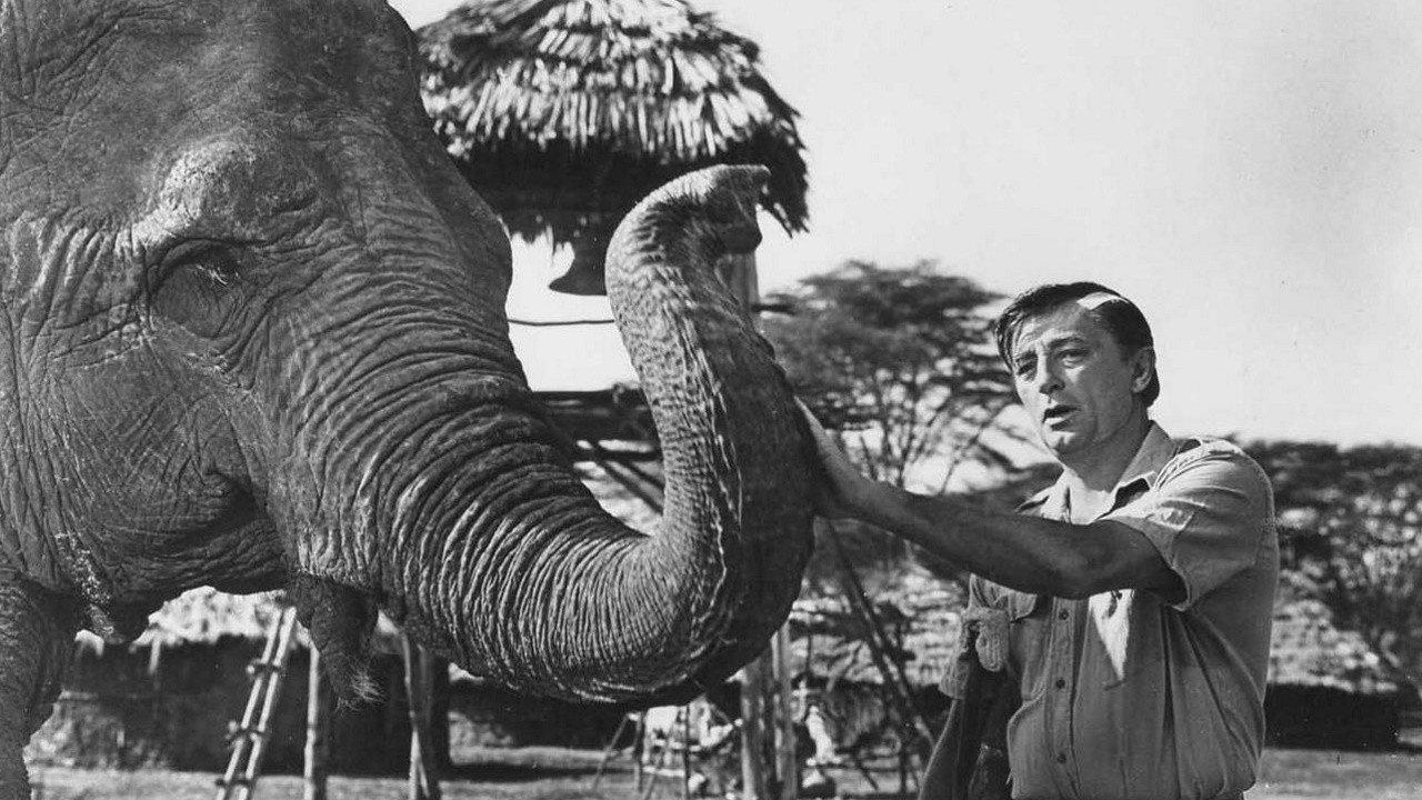 Mister Moses 1965 movie scene