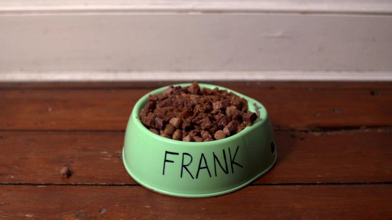 L.T.'s Theory of Pets 2019 movie scene