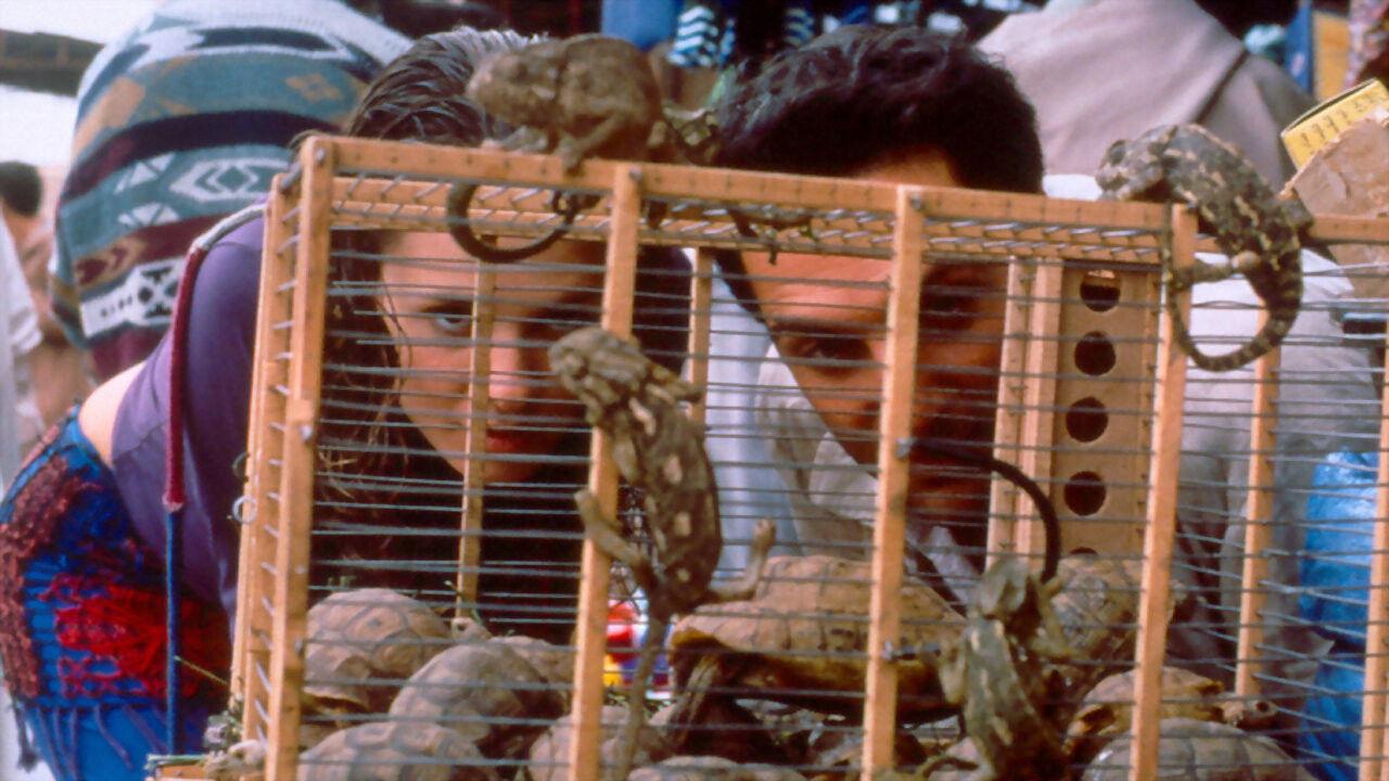 Kasbah 2000 movie scene