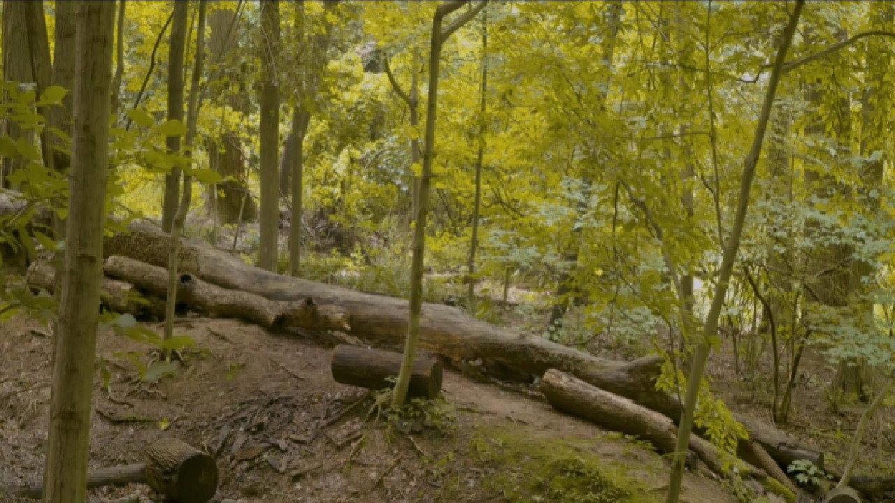 Eaglehood 2022 movie scene