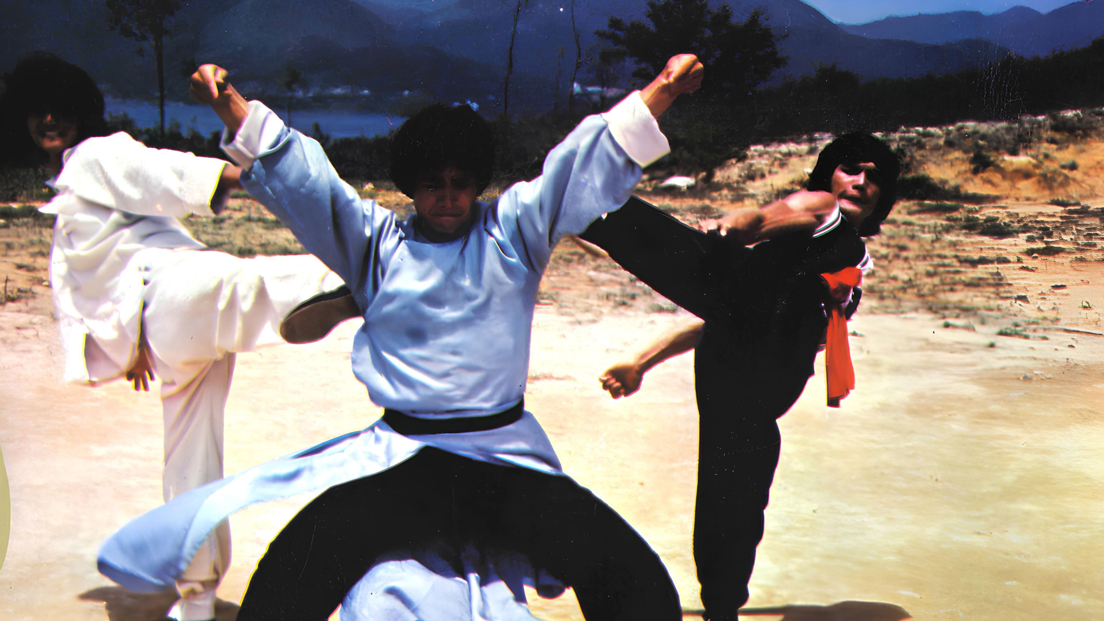 The Dragon, the Hero 1979 movie scene