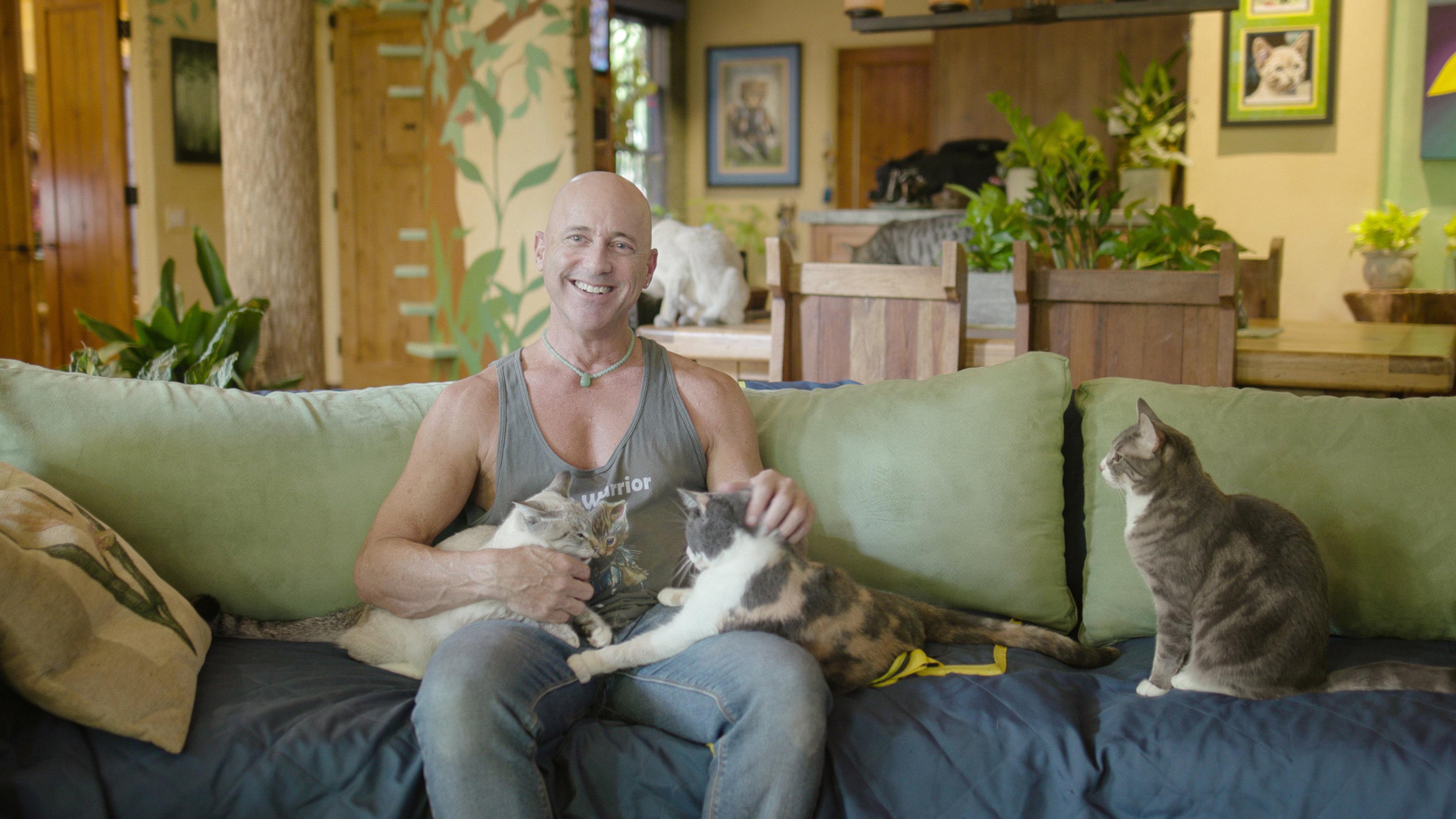 Cat Empire 2019 movie scene